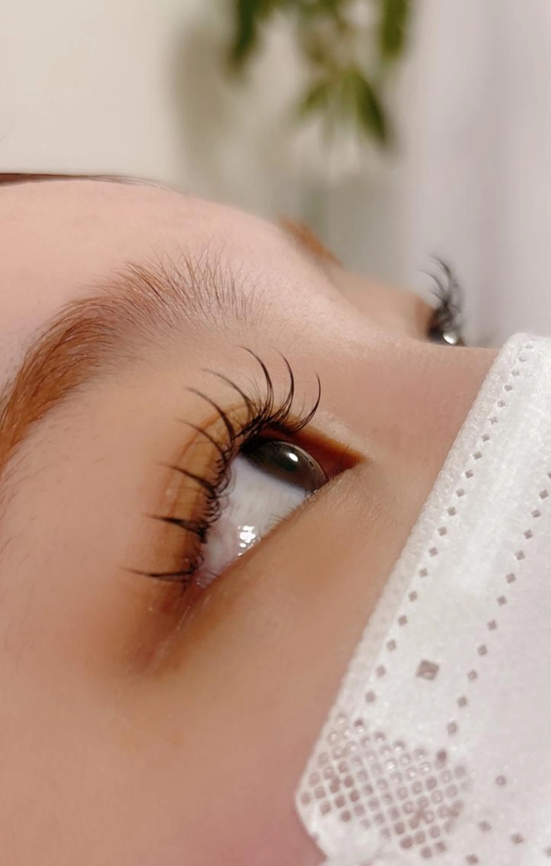 マツエク・マツパ マキ eyelashのマツエク・マツパデザイン