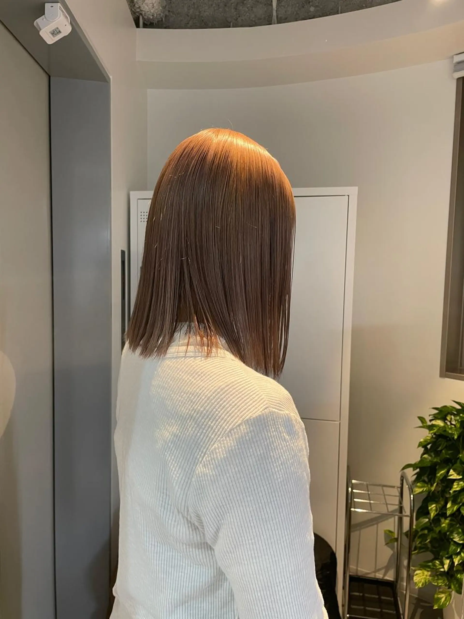 ミディアム カラー ヘアカラー トリートメント 切りっぱなしボブ レイヤー/縮毛矯正のヘアスタイル