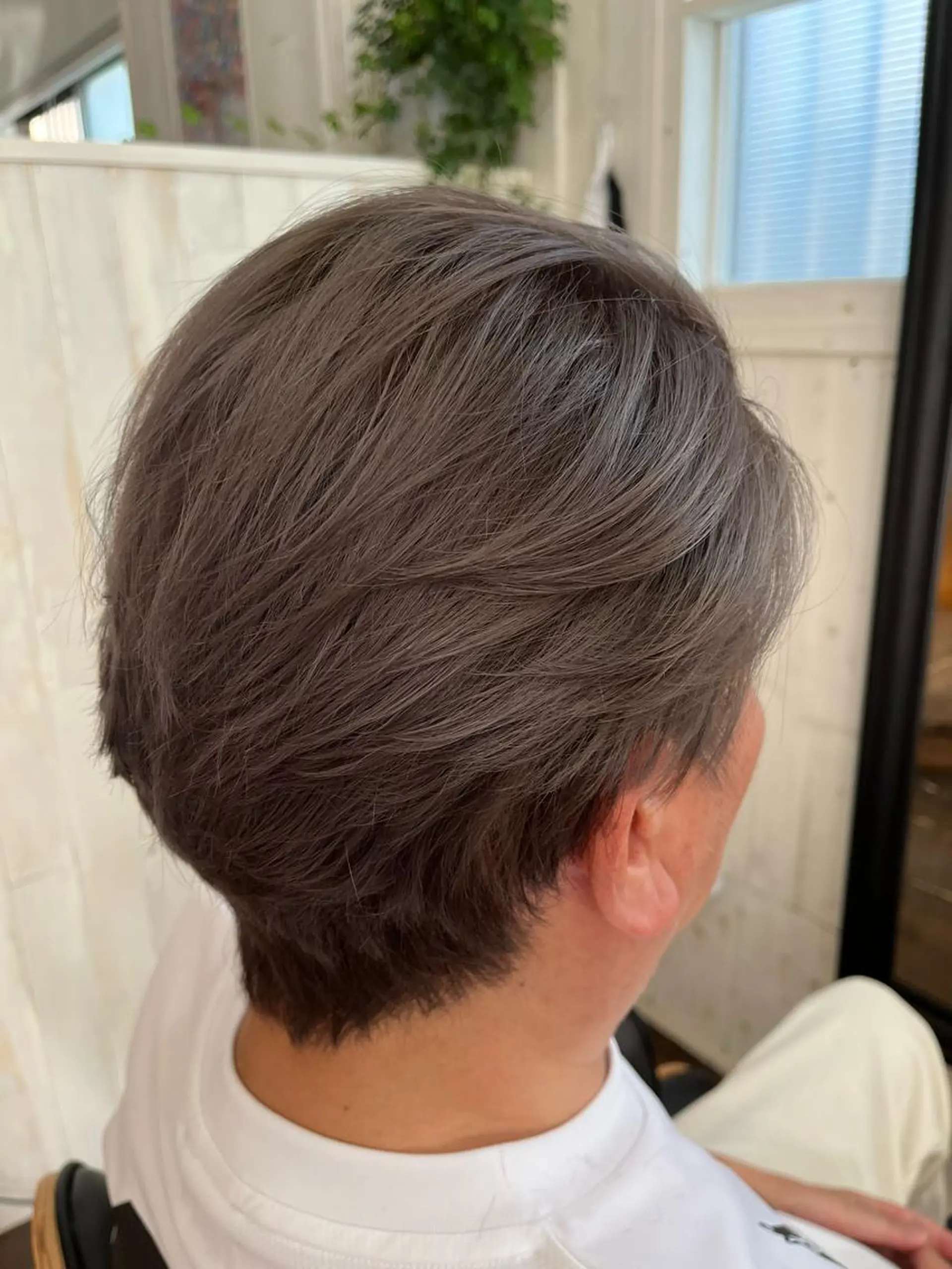 ショート 紙屋 隼人のヘアスタイル