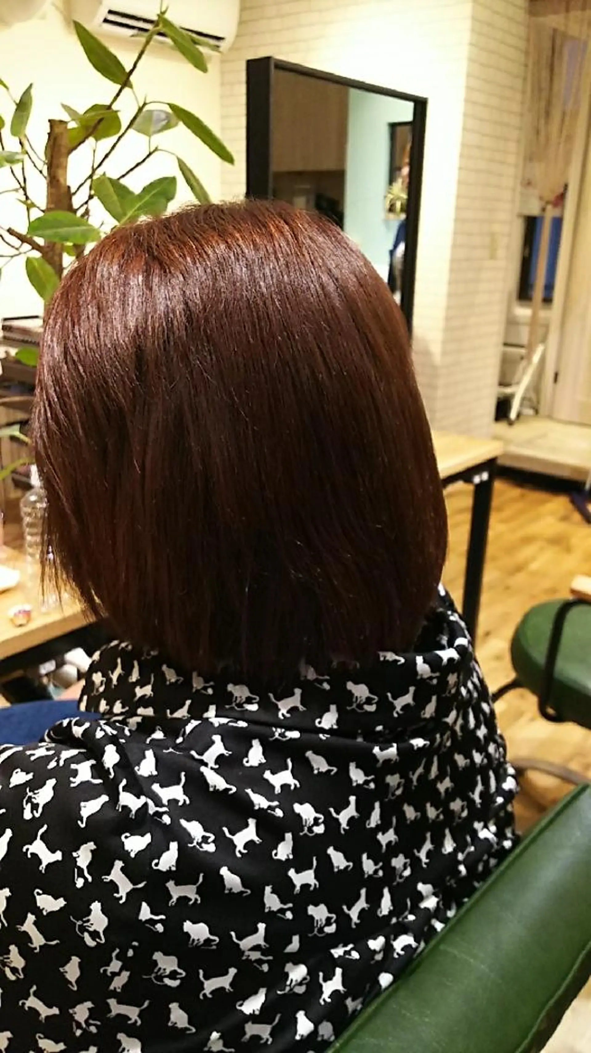 ミディアム カラー 髪質改善 トリートメント 🌜LaLa🦎   ジパング🌛のヘアスタイル