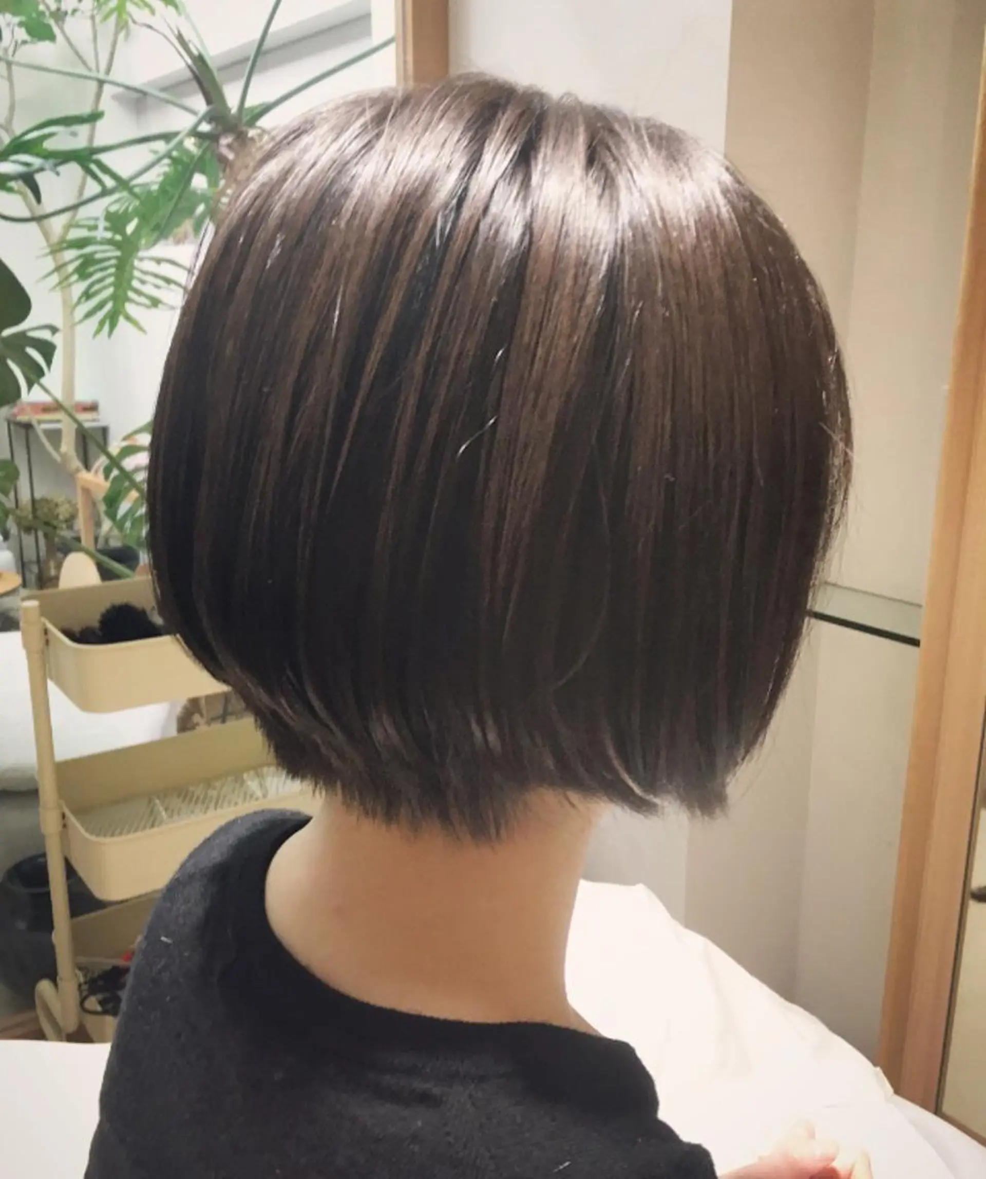 ショート ショートボブ ボブ ショートヘア 安永 涼のヘアスタイル