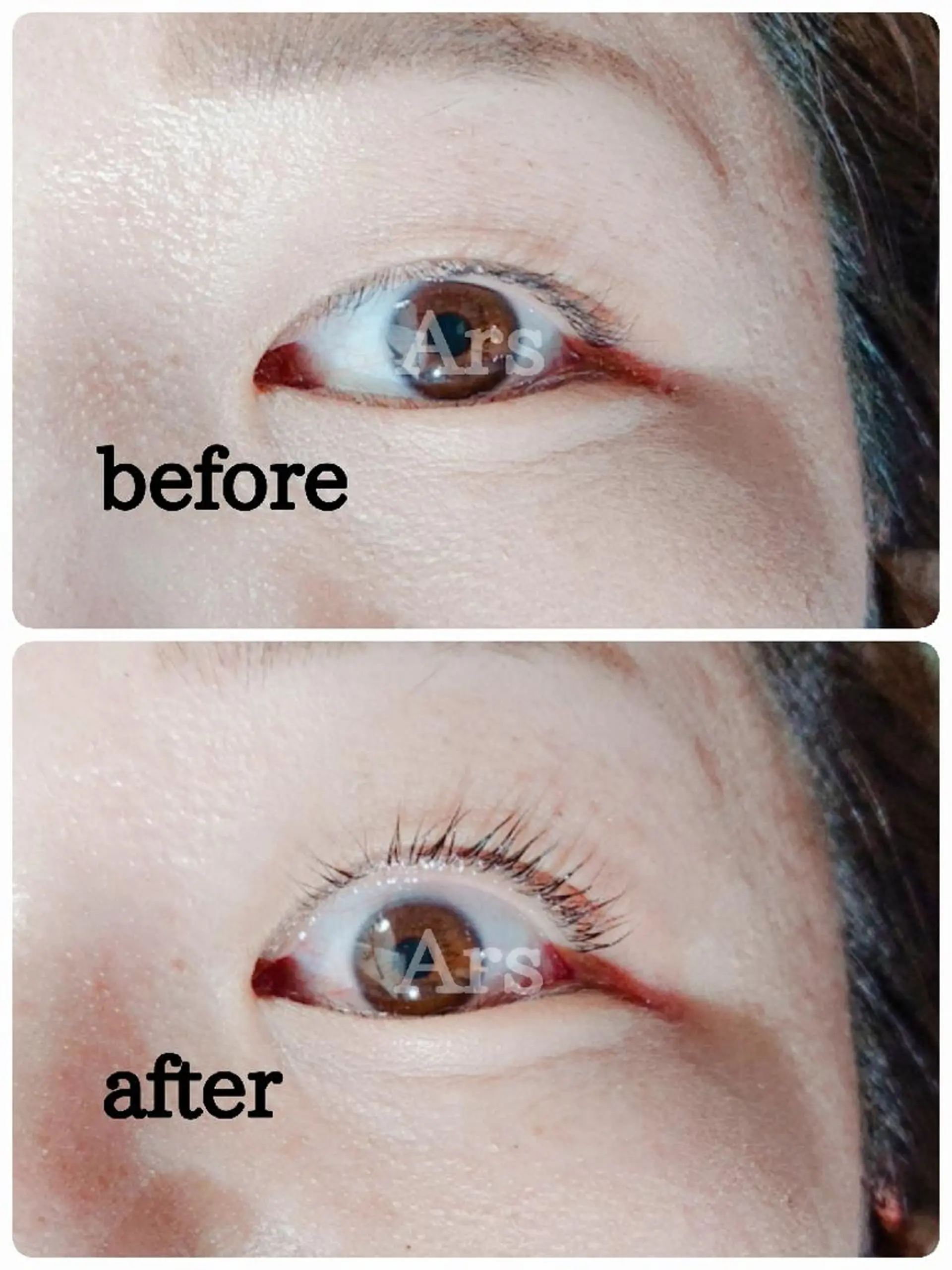 マツエク・マツパ アイリッドアップパーマ Ars      (ｱﾙｽ)のマツエク・マツパデザイン