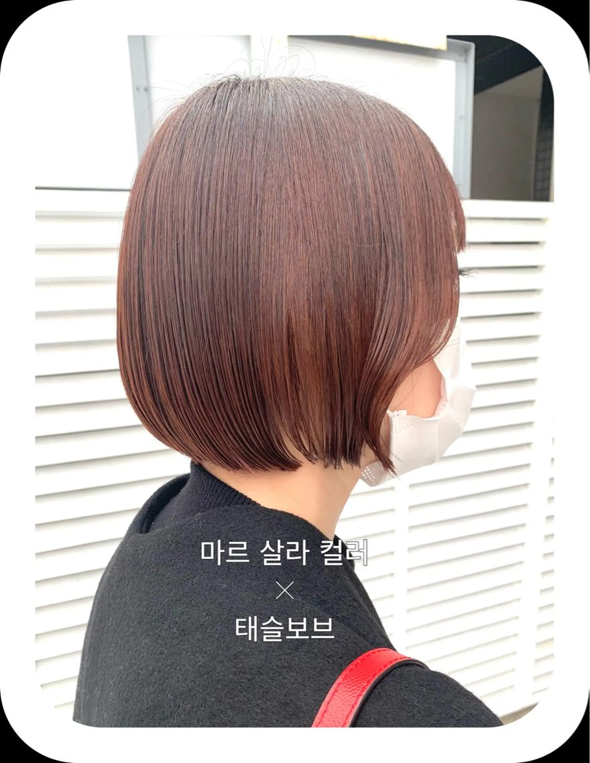 ショート カラー 本場韓国ヘア特化 아이비/Aibiのヘアスタイル