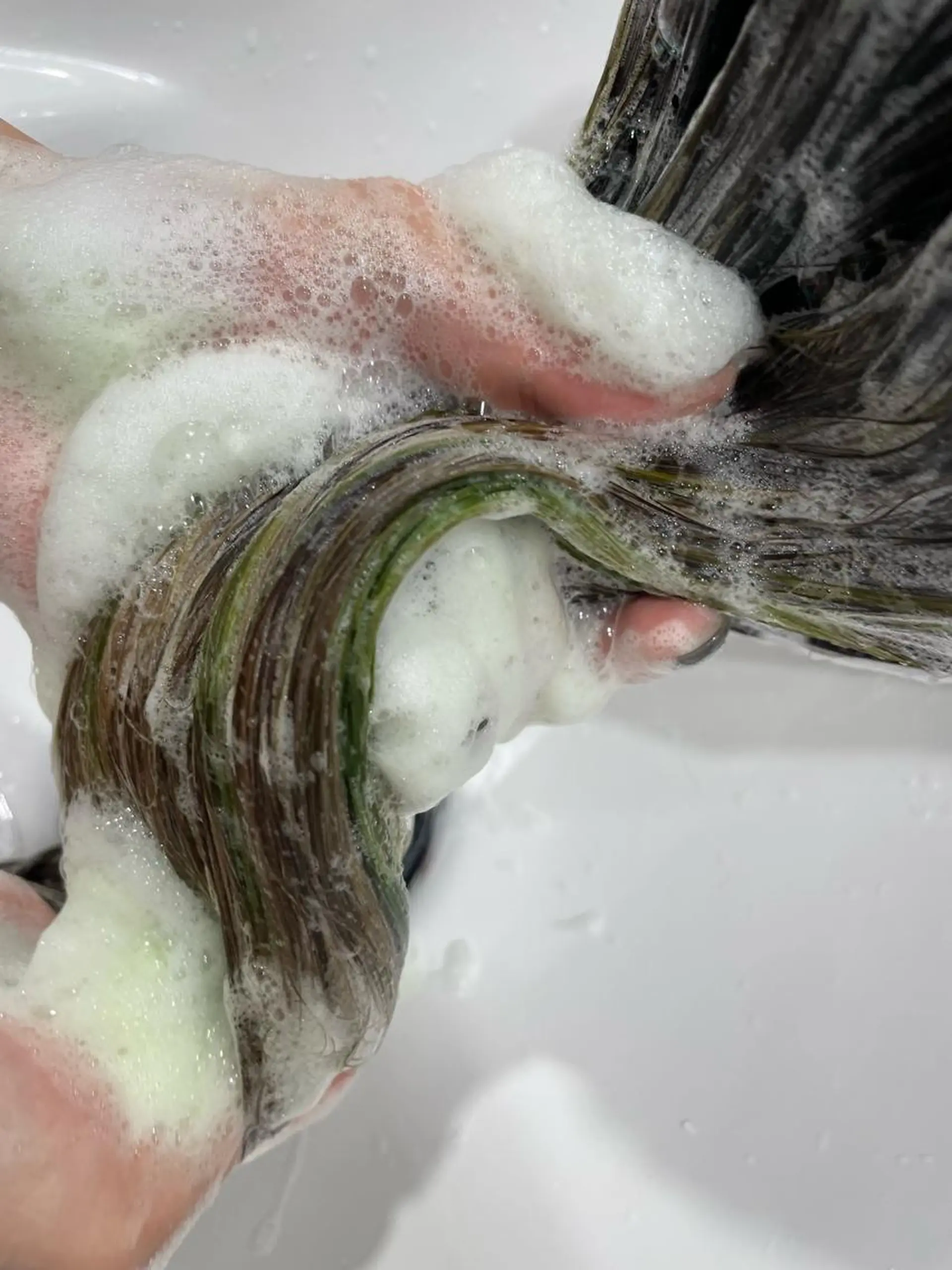 カラー yumemiレイヤー ‎✴︎ 透明感カラーのヘアスタイル