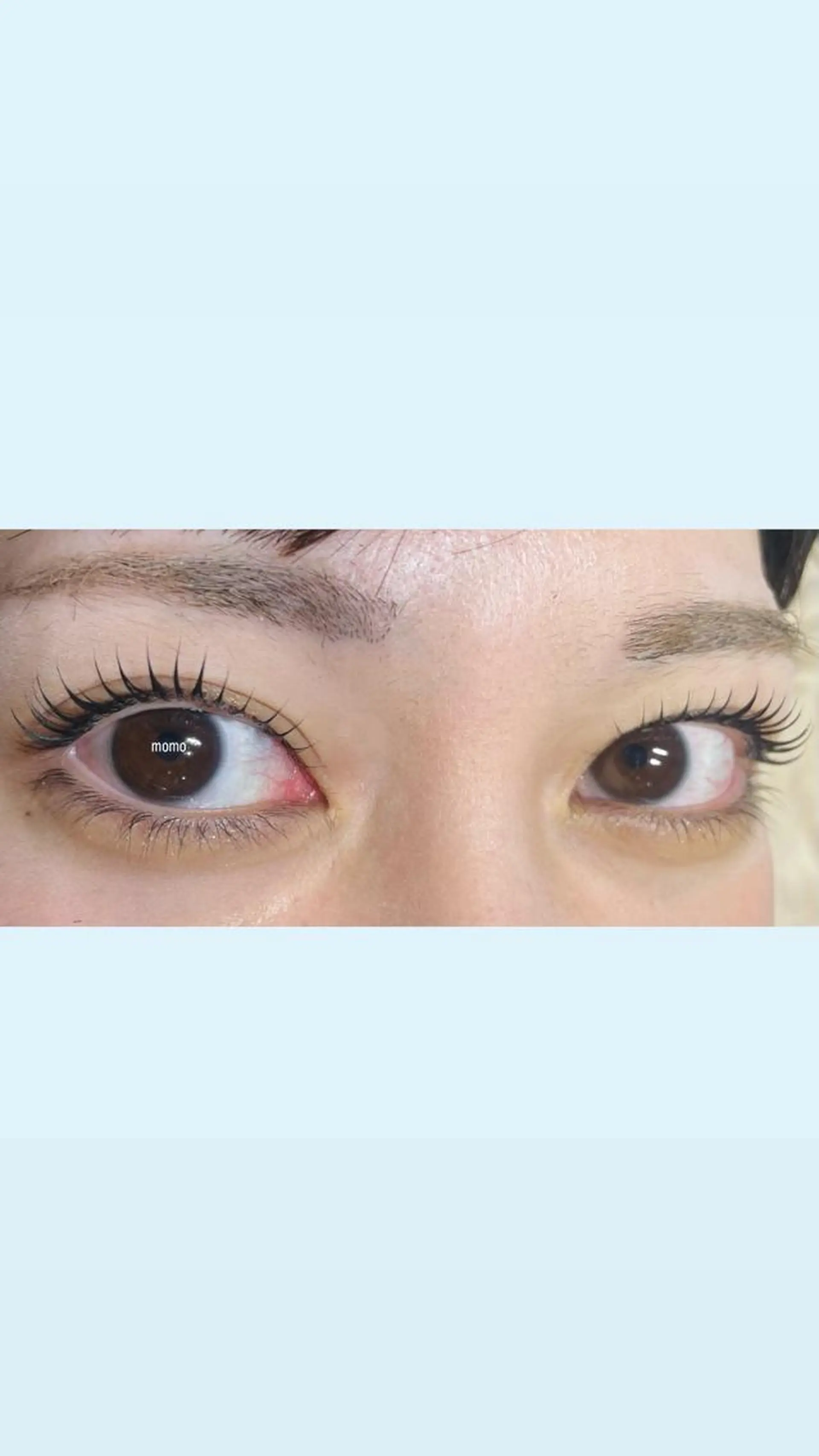 マツエク・マツパ 🕊ツメイク船橋店 Momoka🌿のマツエク・マツパデザイン