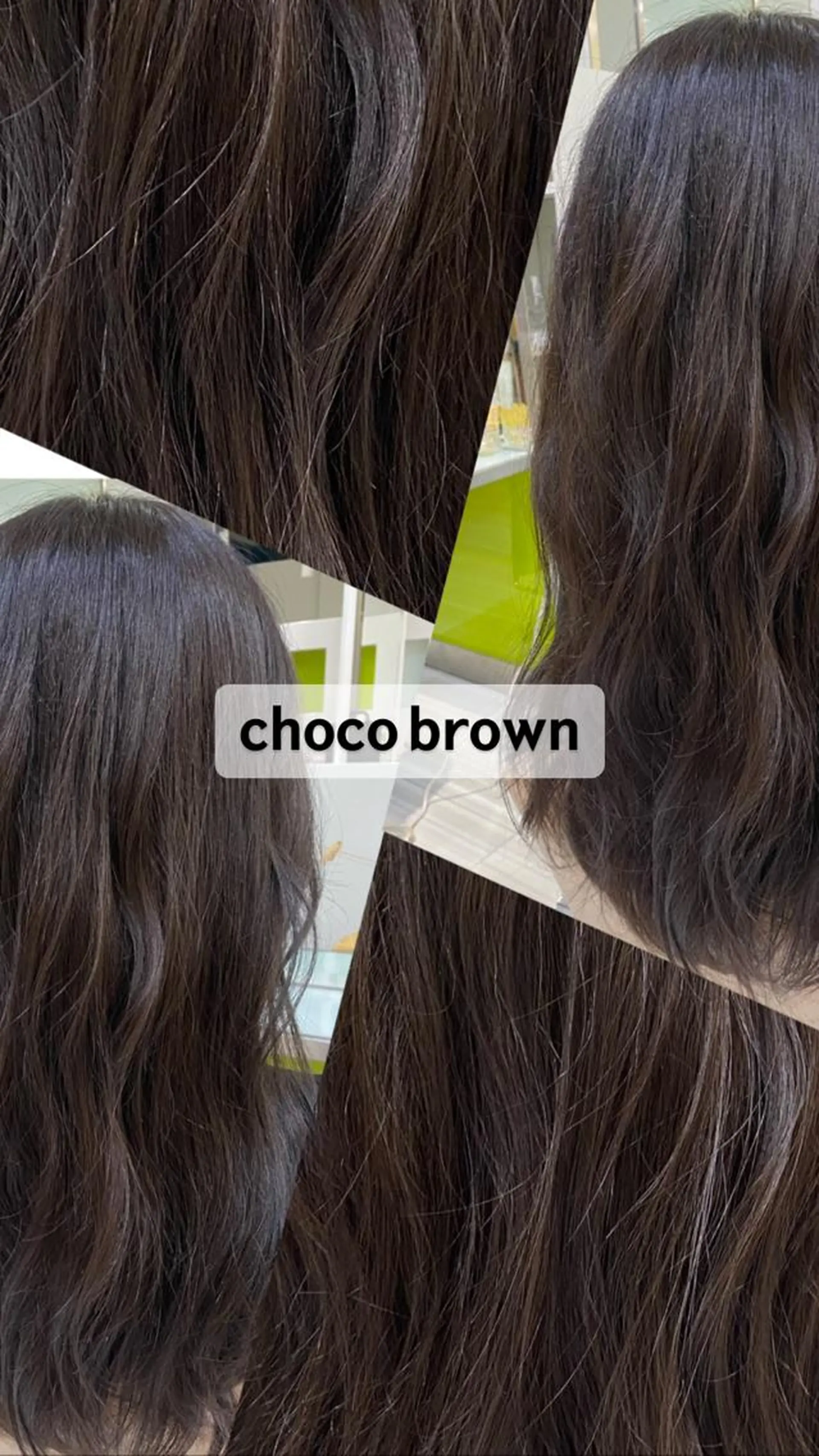 カラー ブラウンカラー サントス 芳美のヘアスタイル