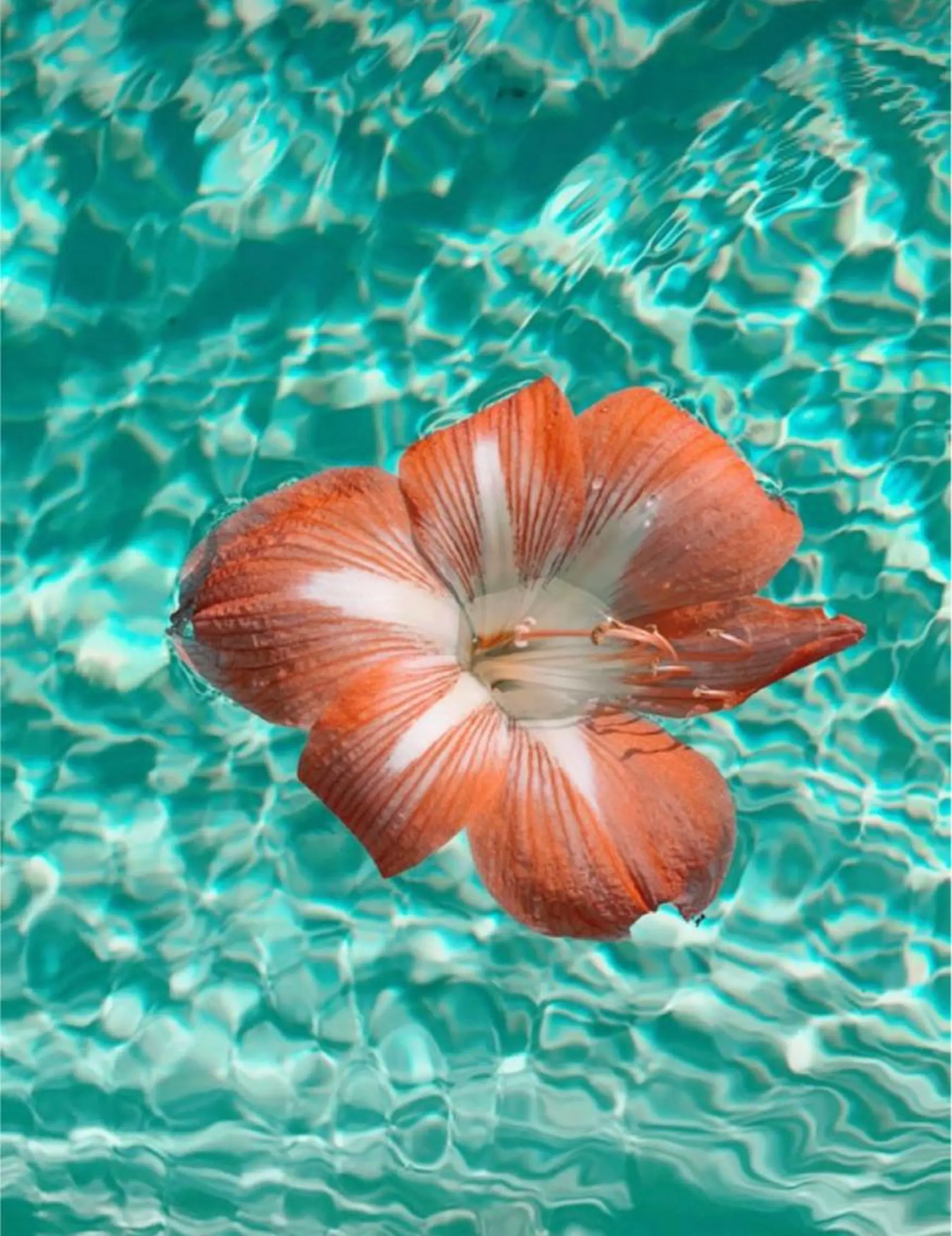 🫧縮毛矯正／カラー ／bless松浦🫧のヘアスタイル