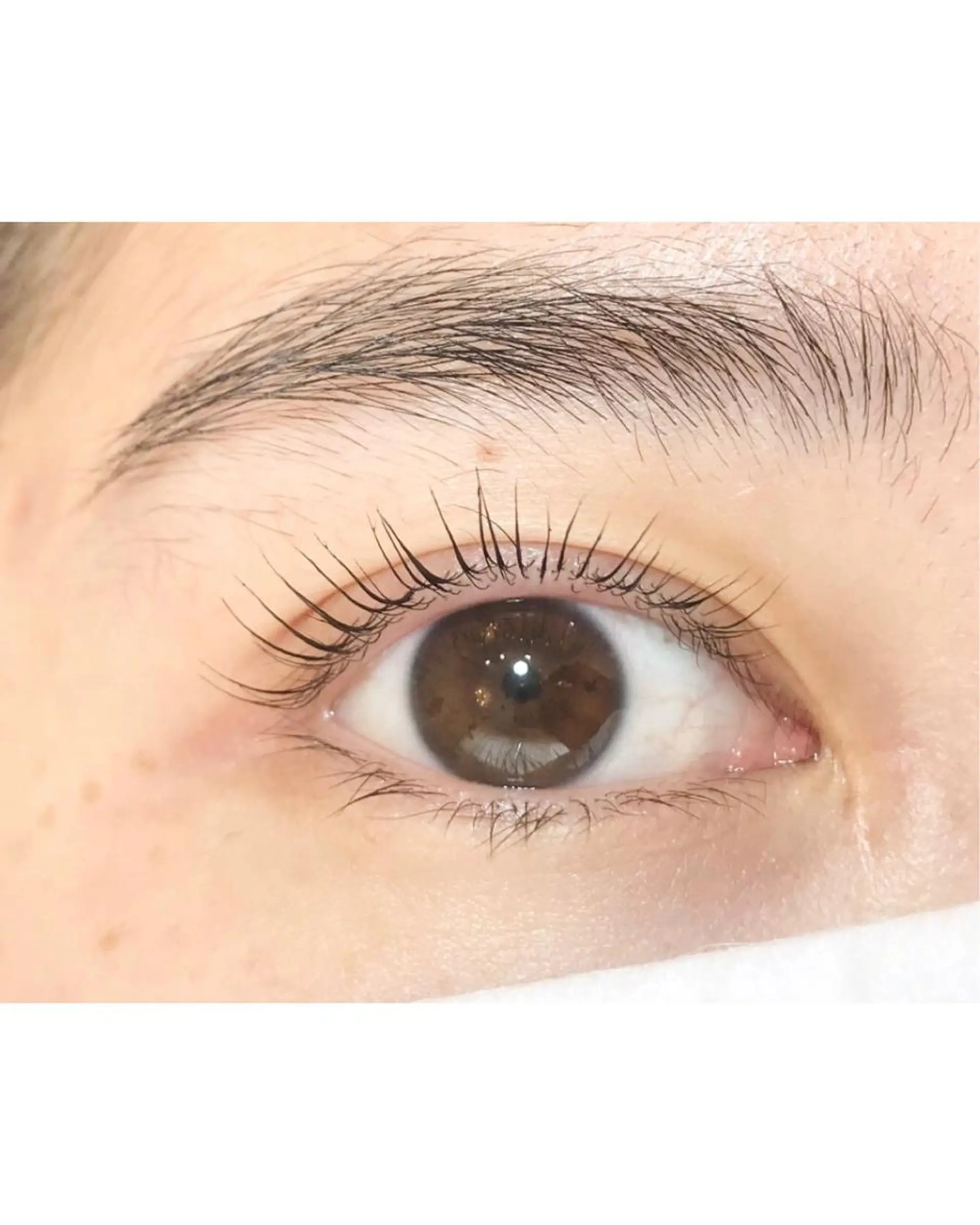 マツエク・マツパ étora 恵比寿店のマツエク・マツパデザイン