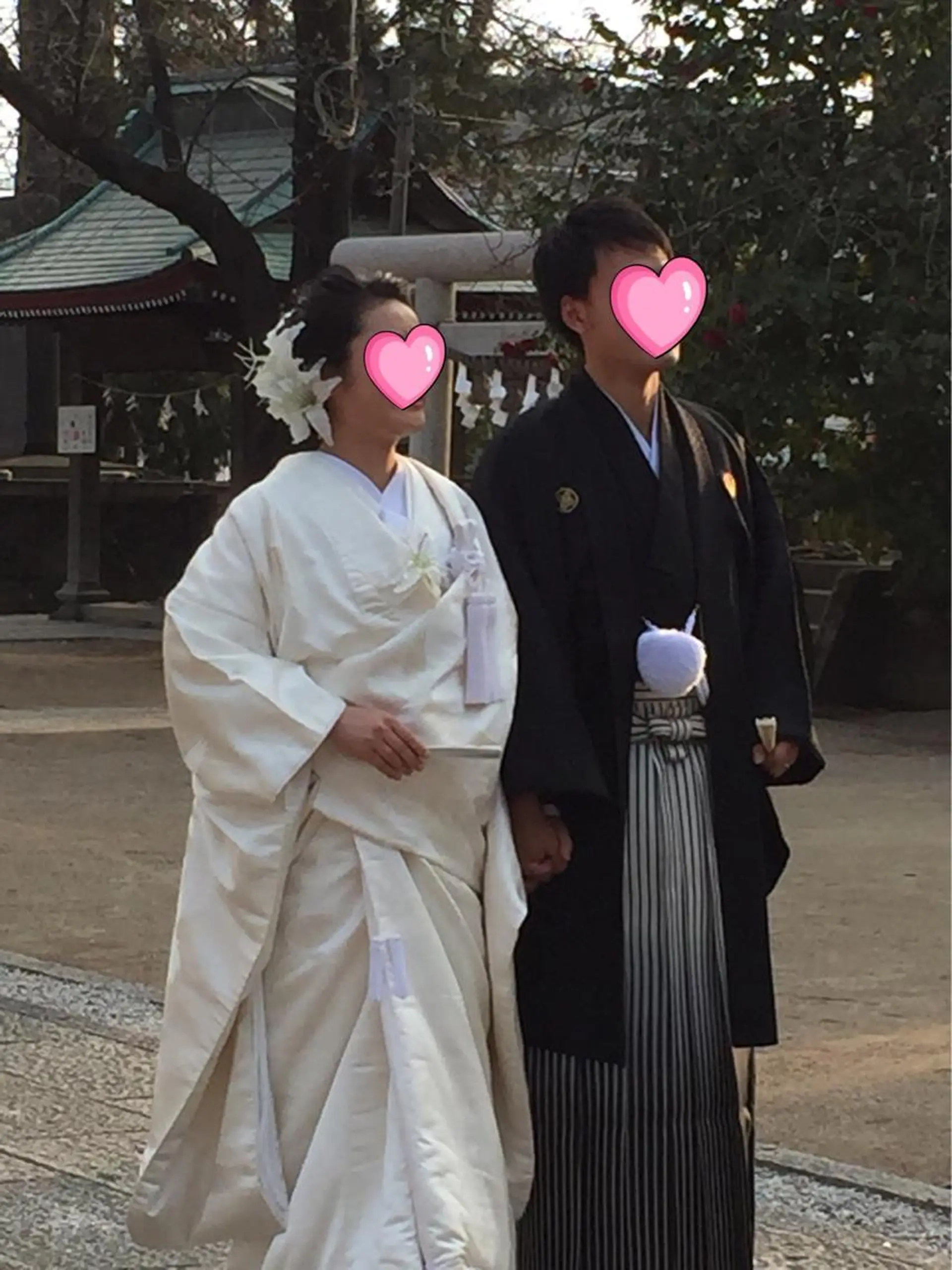 田中 佐枝子のヘアスタイル