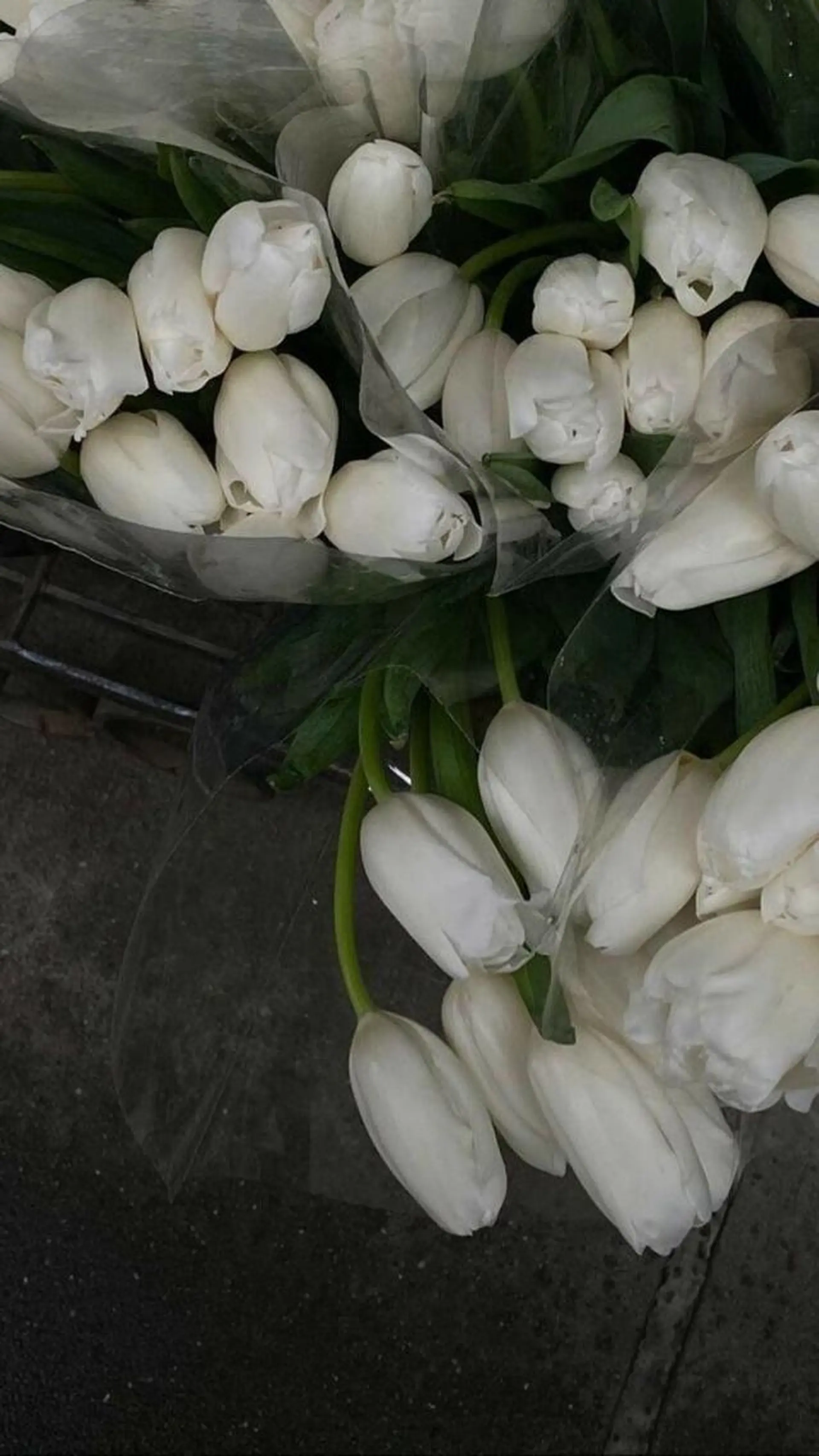 マツエク・マツパ miien(SALONVILLAGE内)所属・MOE /渋谷・明治神宮前のマツエク・マツパデザイン