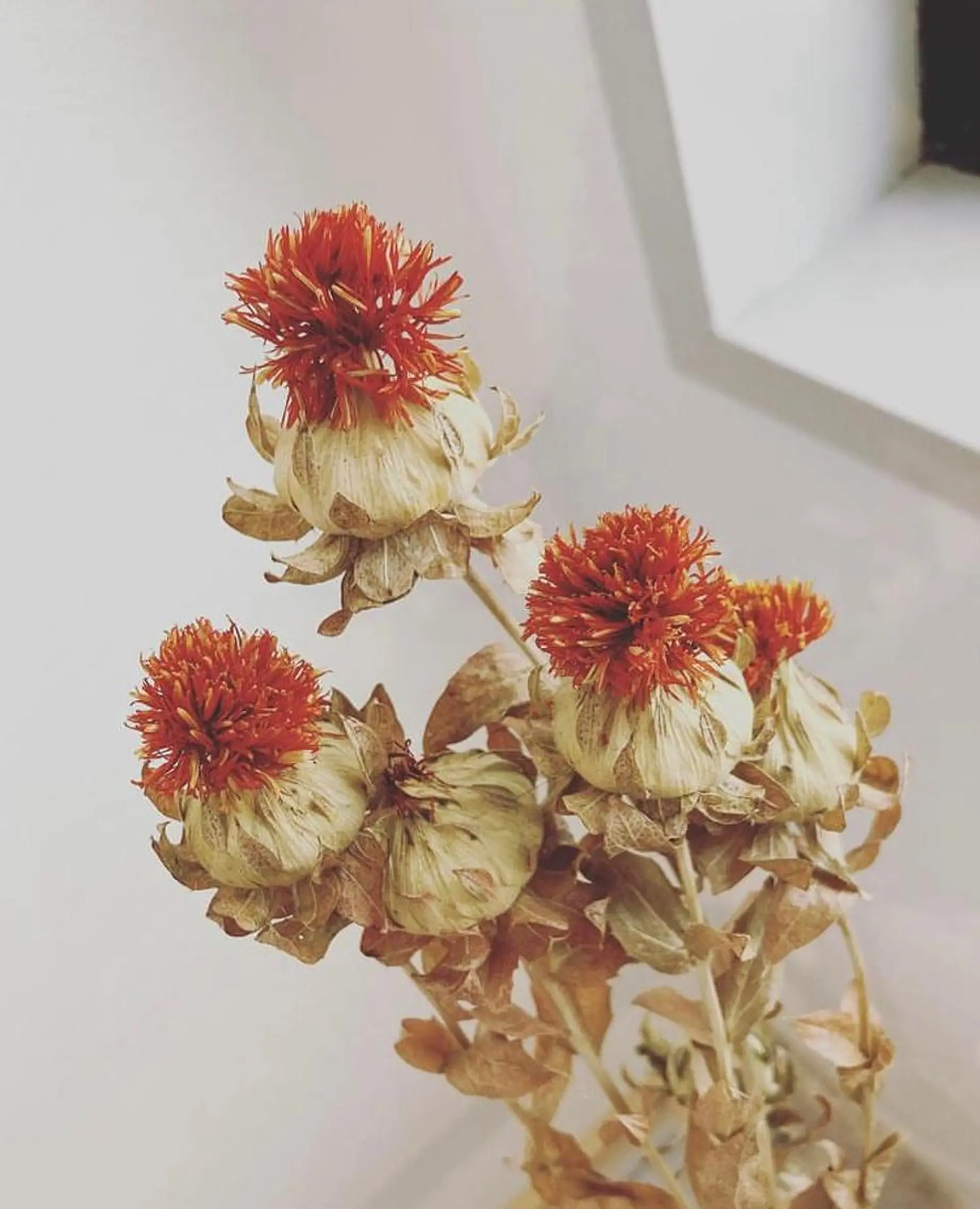 ネイルサロン アリュームのネイルデザイン