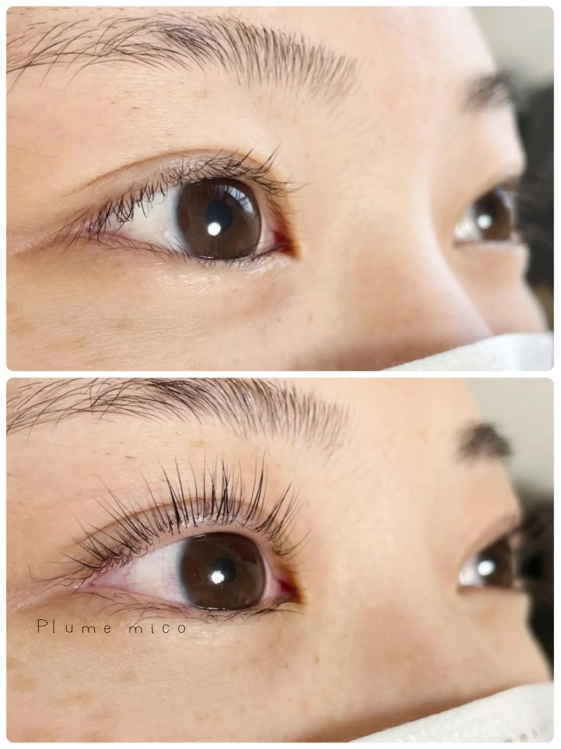 マツエク・マツパ マツパ Plume micoのマツエク・マツパデザイン