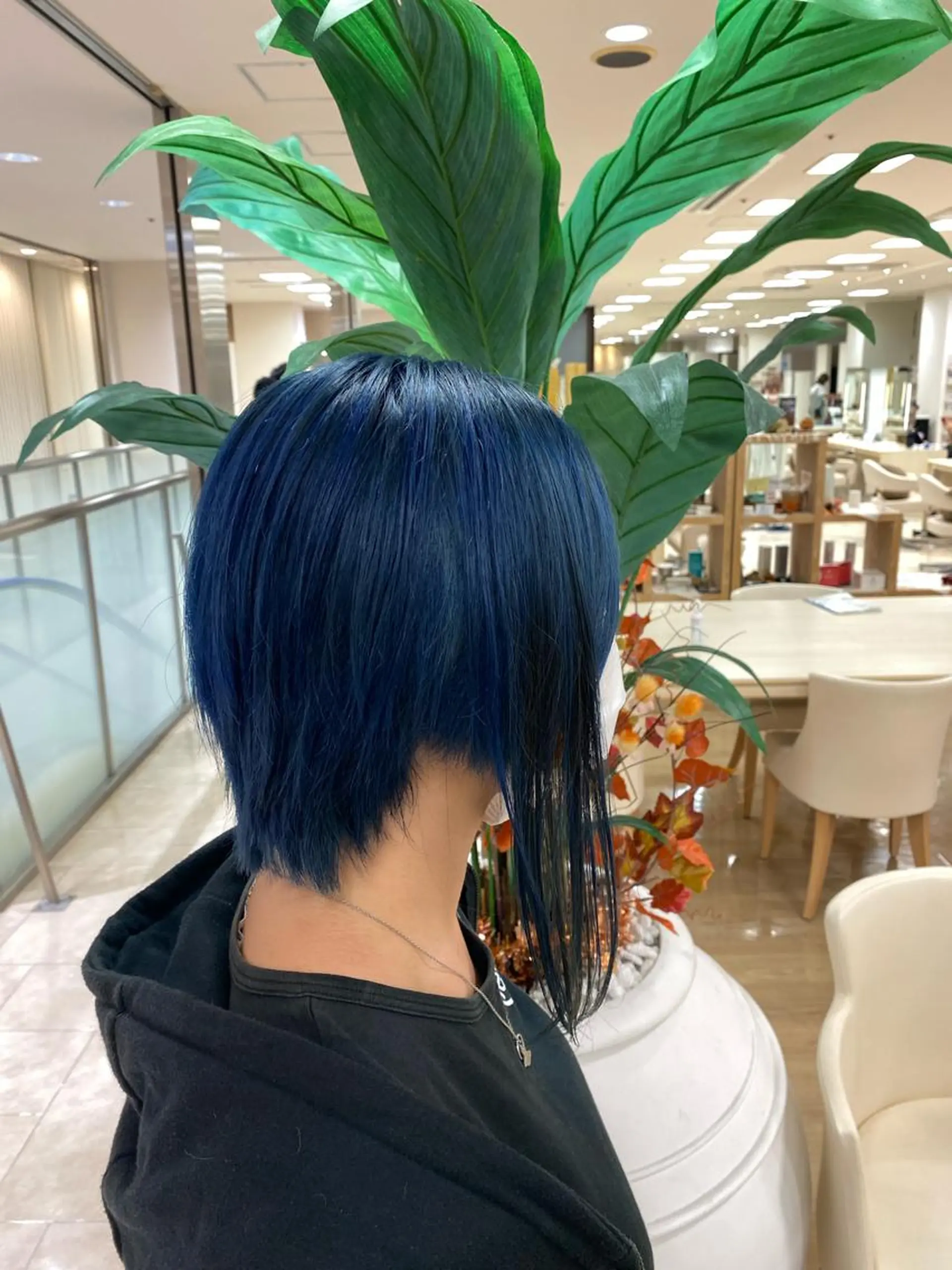 ショート カラー デザインカラー ヘアカラー トリートメント ヘアセット ハイトーン/ウルフ /レイヤー/坂野幸伸のヘアスタイル