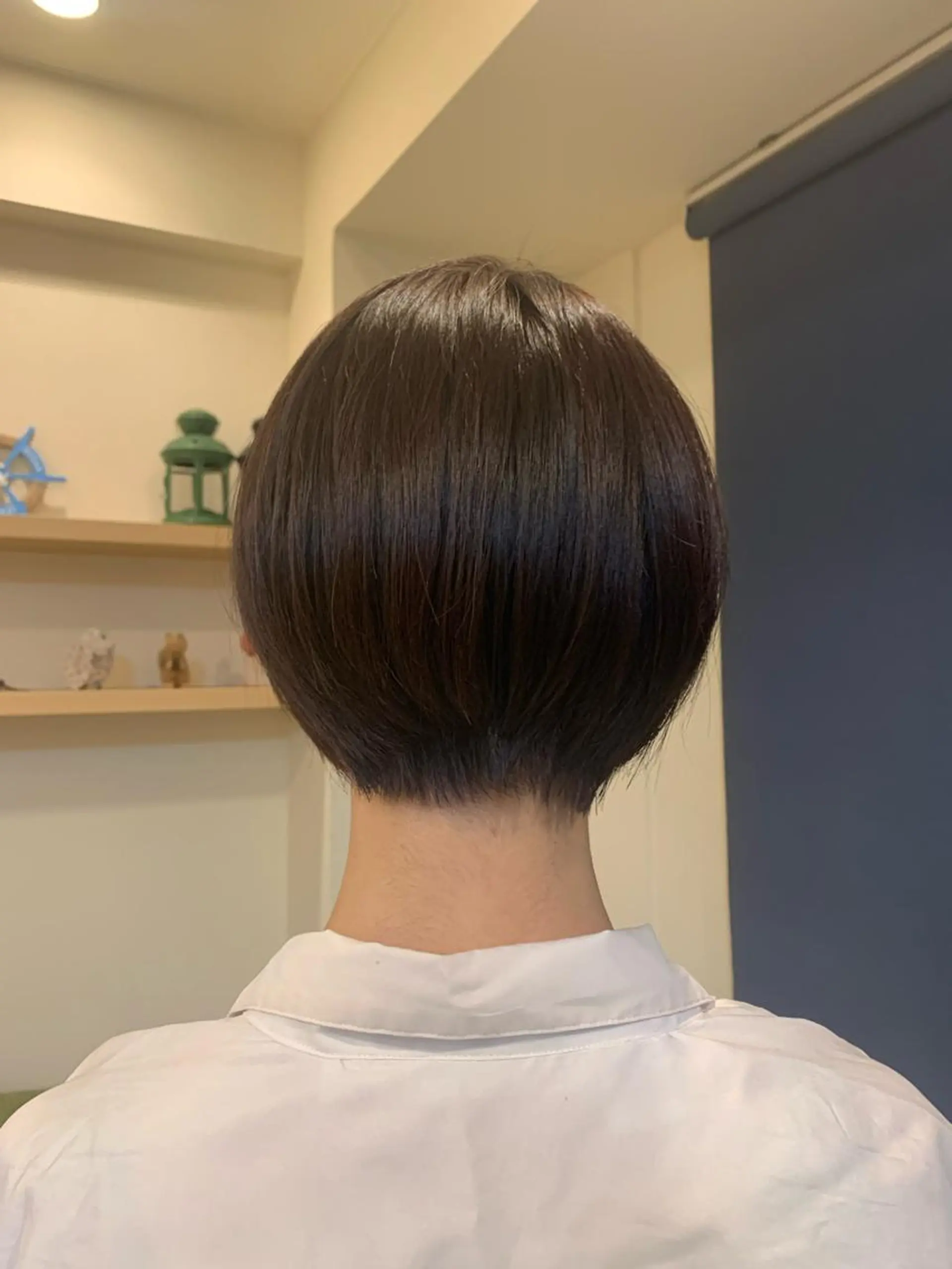 ショート ピンクブラウン ショートヘア ヒロタ ハルヒ🦁のヘアスタイル