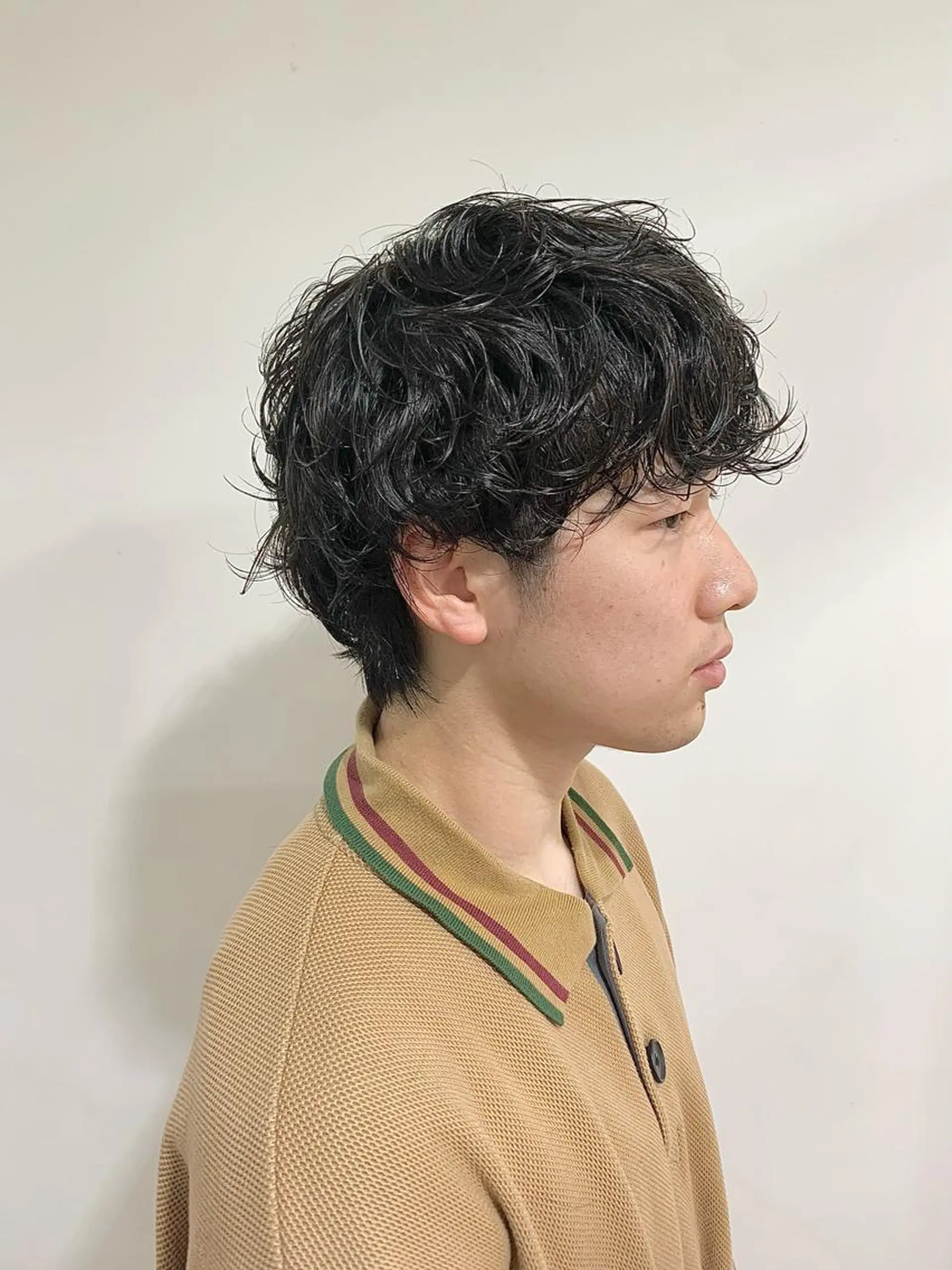 ミディアム パーマ メンズ ミディアムパーマ マッシュウルフ マッシュ メンズパーマ メンズウルフカット カット パーマ 竹内 康浩のヘアスタイル