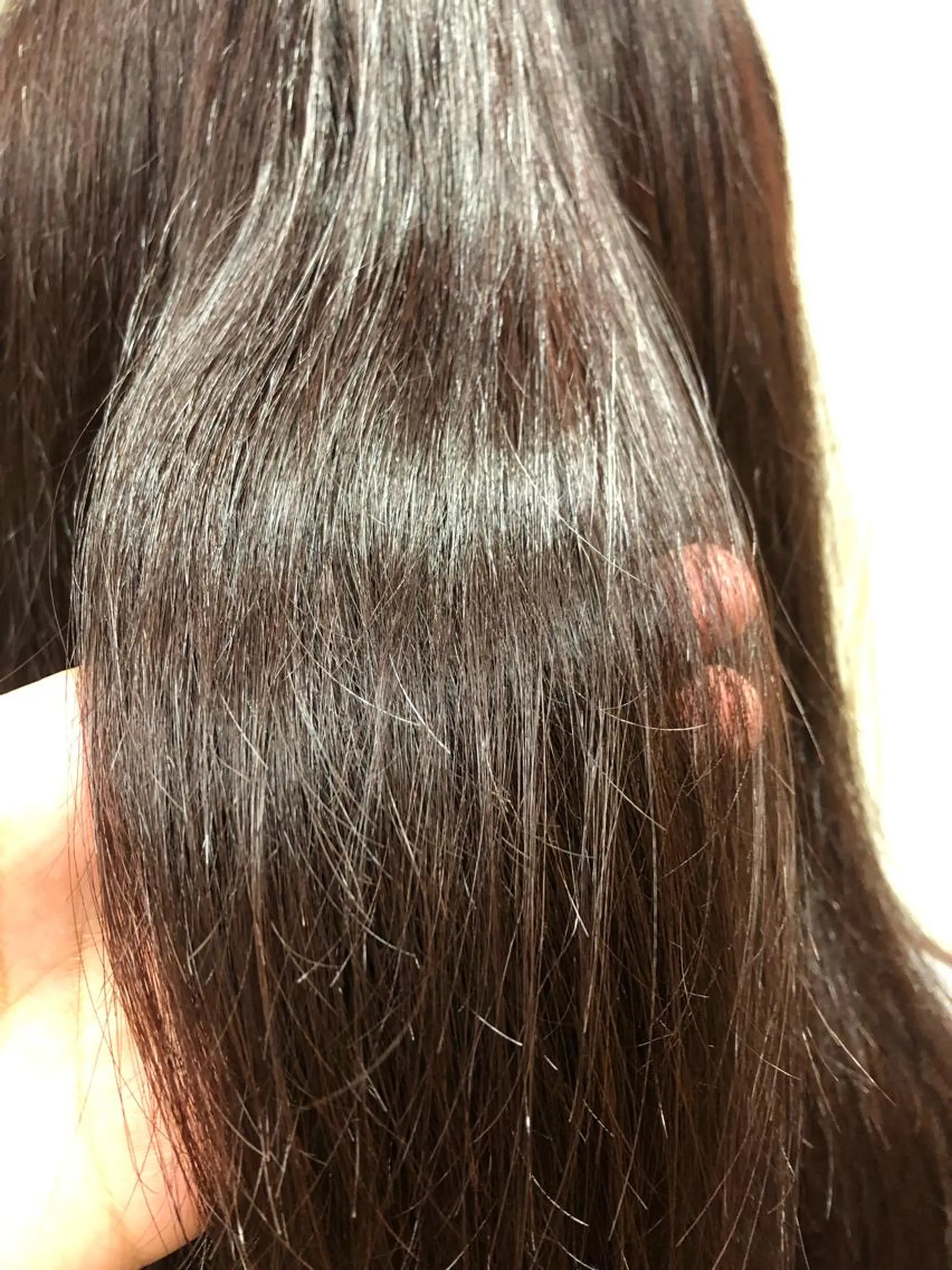 カラー 後藤 健史のヘアスタイル