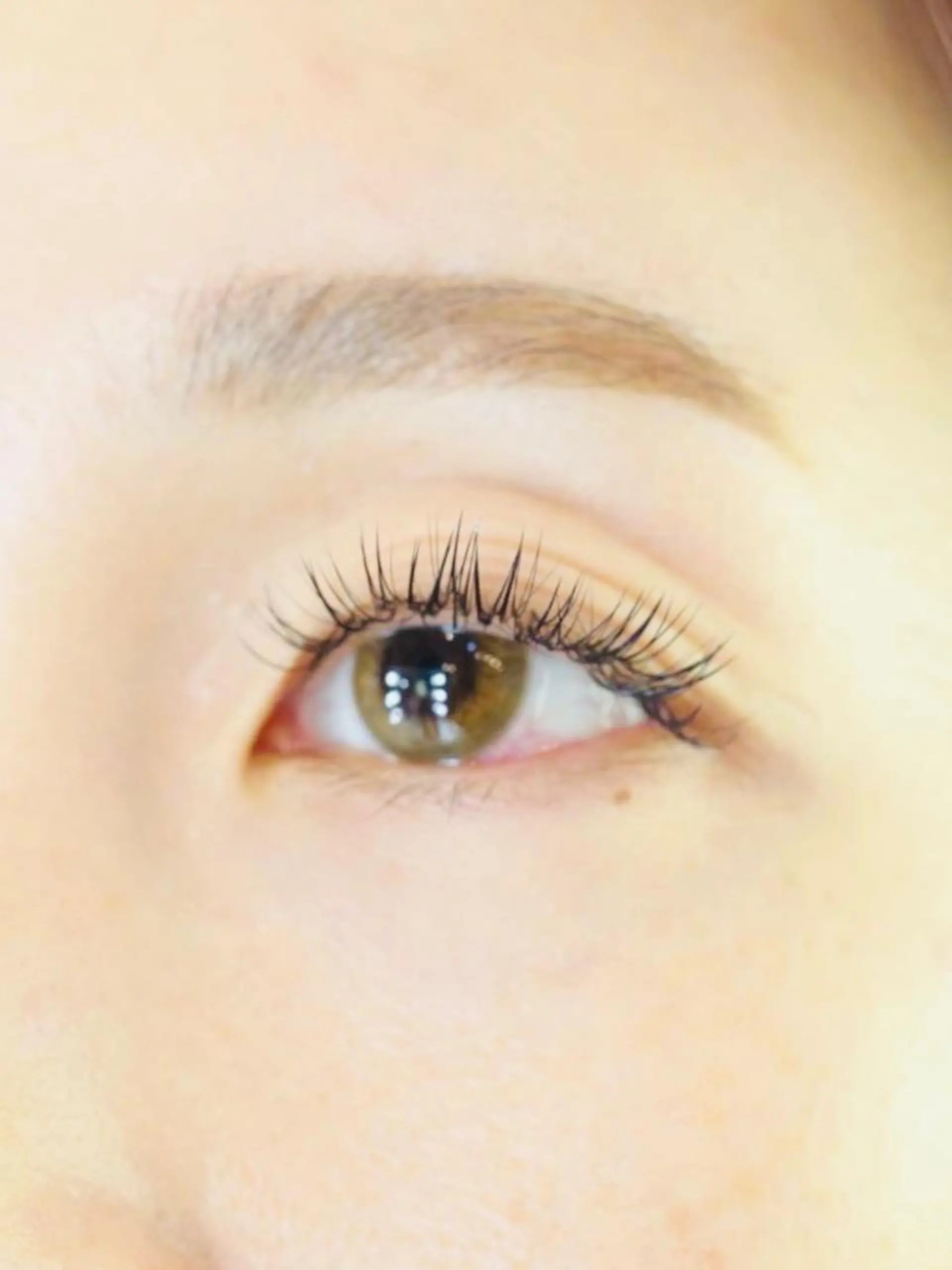 マツエク・マツパ アイブロウ EARTH佐倉店 yuguchiのその他イメージ