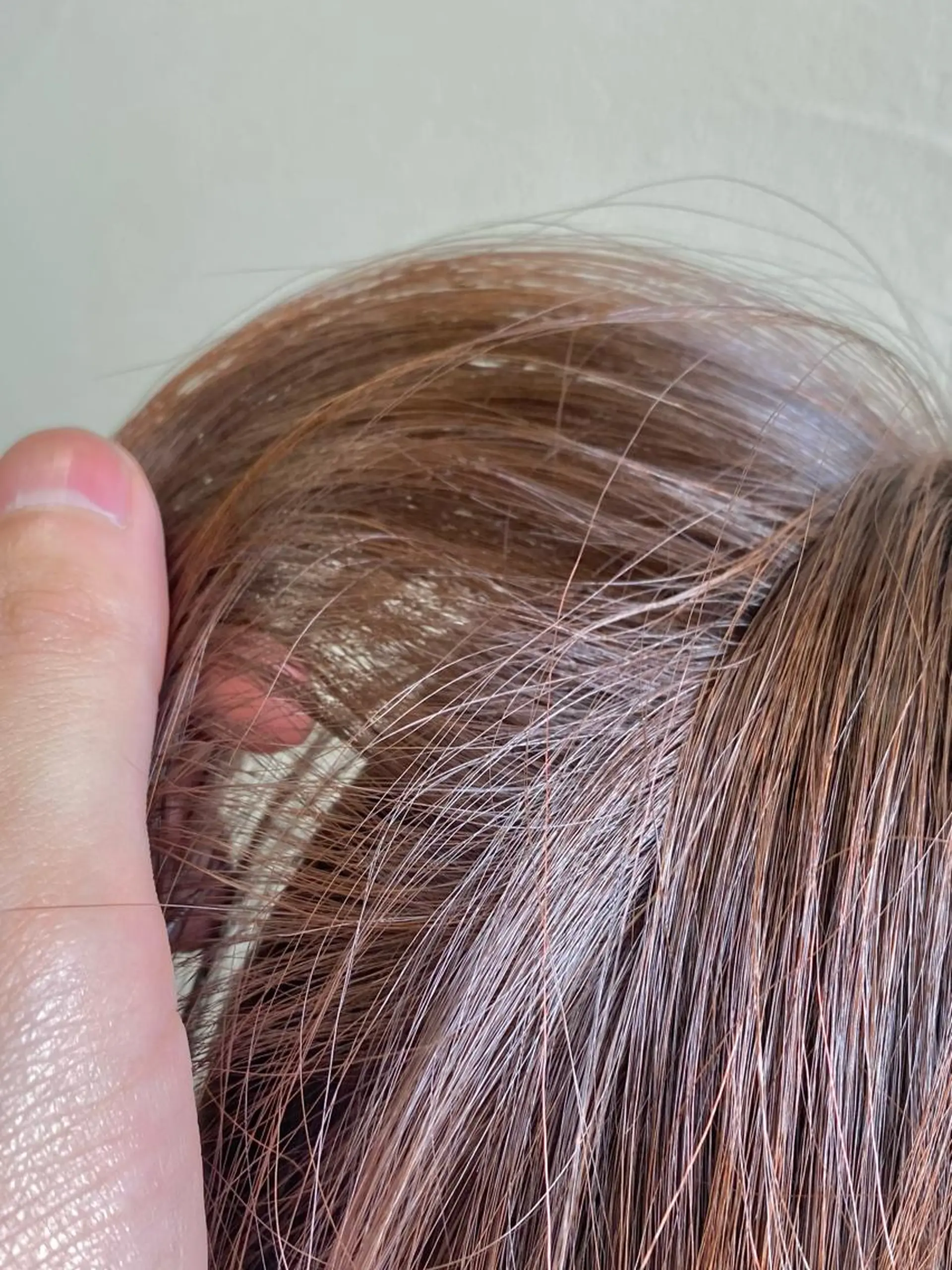 ミディアム カラー 切りっぱなしボブ ブラウンカラー ケアカラー 透明感カラー ココアブラウン カット ヘアカラー トリートメント ハイトーン×似合わせ 🌱中川慎之介のヘアスタイル