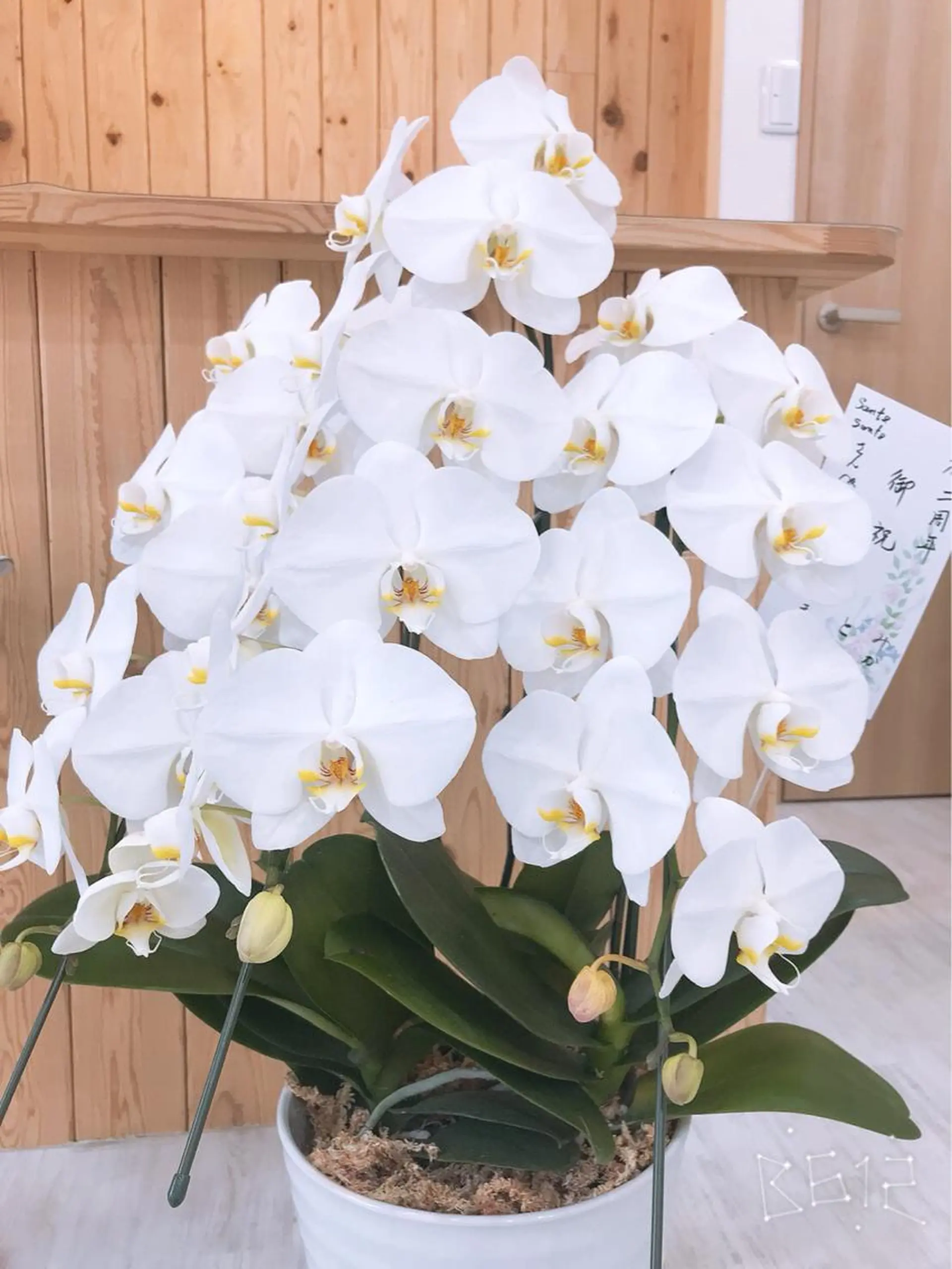 田中 真澄美のエステ・リラクイメージ