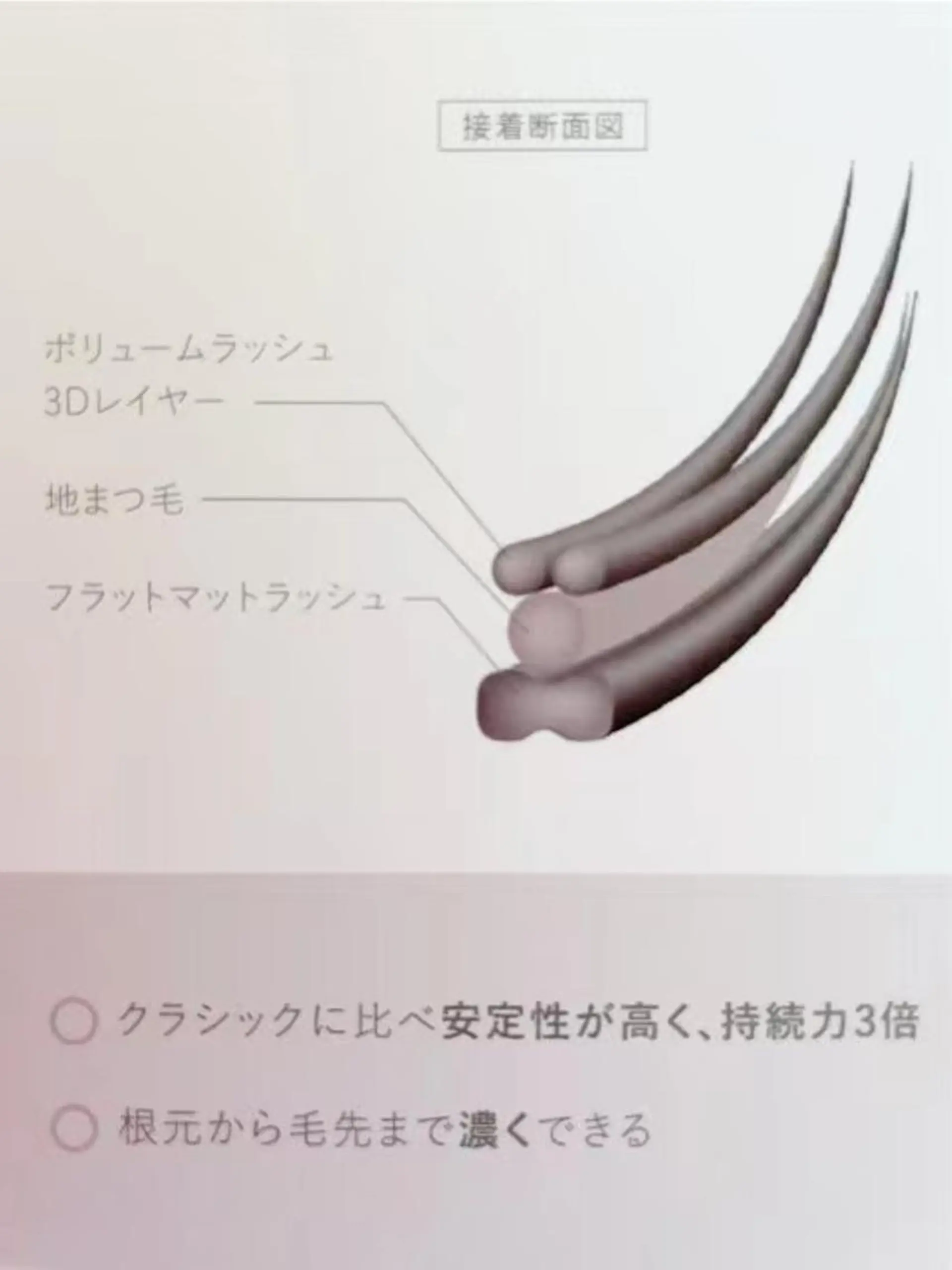 マツエク・マツパ BEL EYE BEAUTYアイ中野のマツエク・マツパデザイン