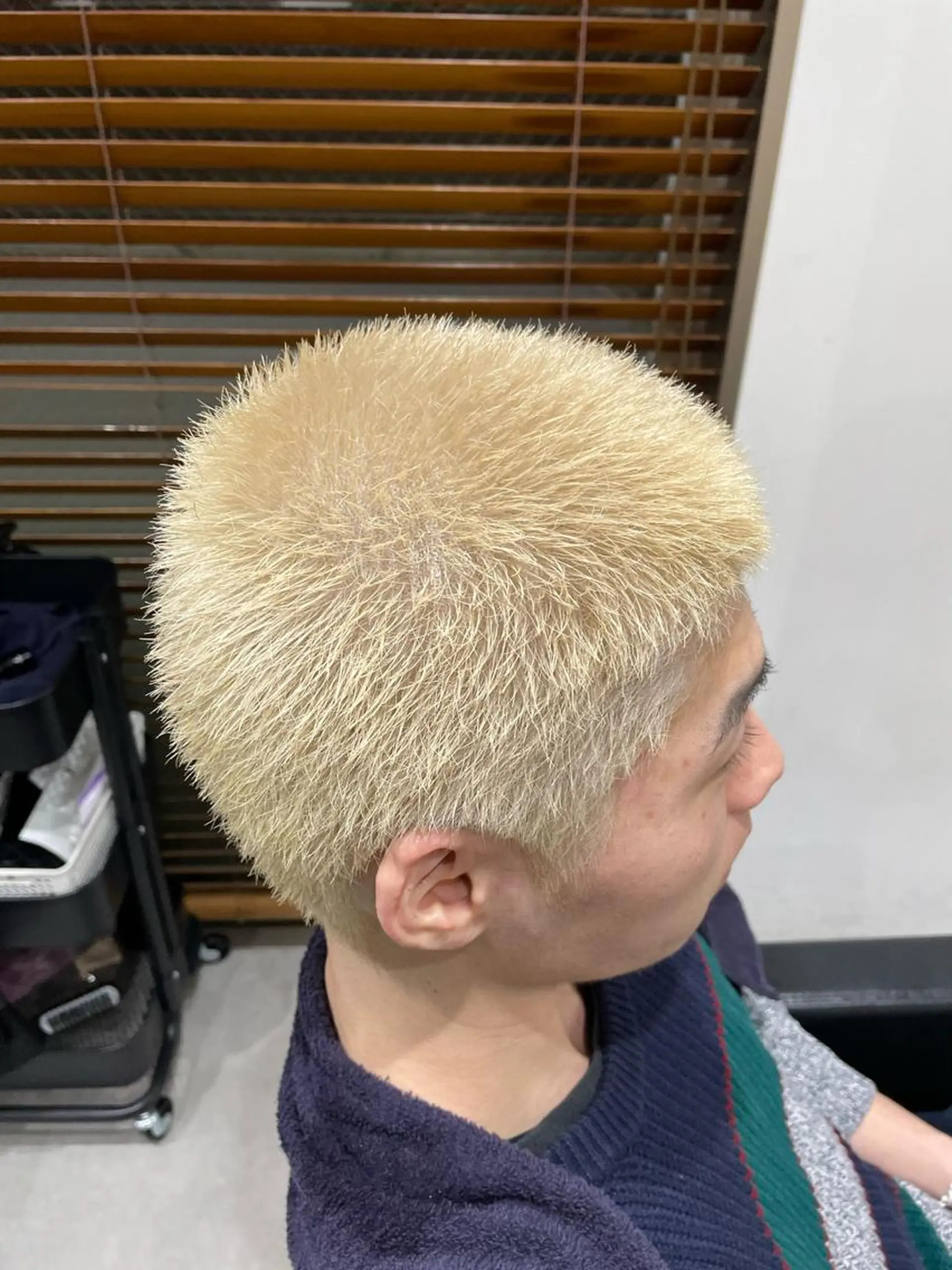 ショート 🐬脱白髪染めカラー 清水大世🐬のヘアスタイル