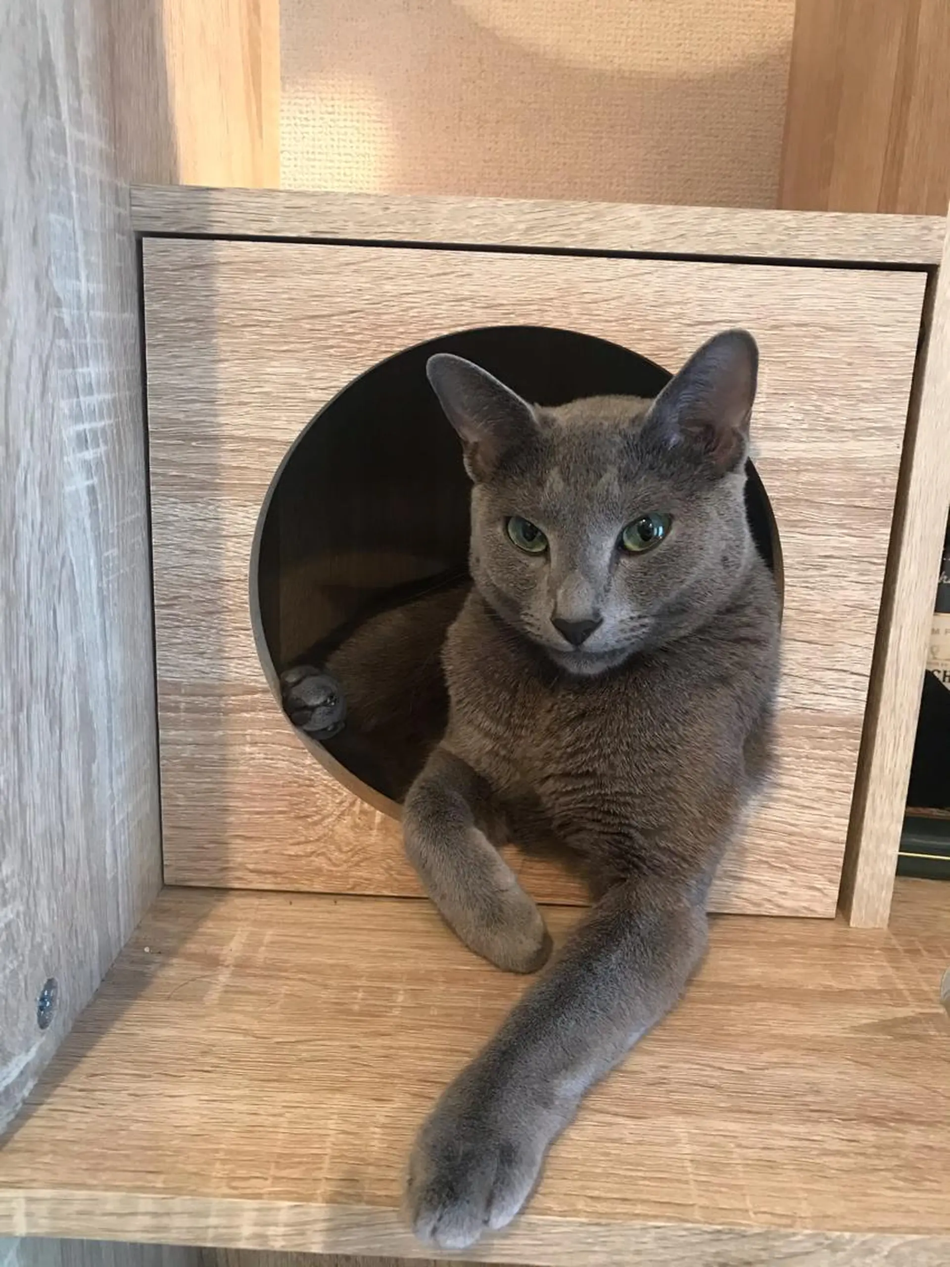 ショート カラー パーマ ヘアアレンジ メンズ キッズ ネイル マツエク・マツパ アニメ,Vオタク× 即効痩せエステサロンのエステ・リラクイメージ