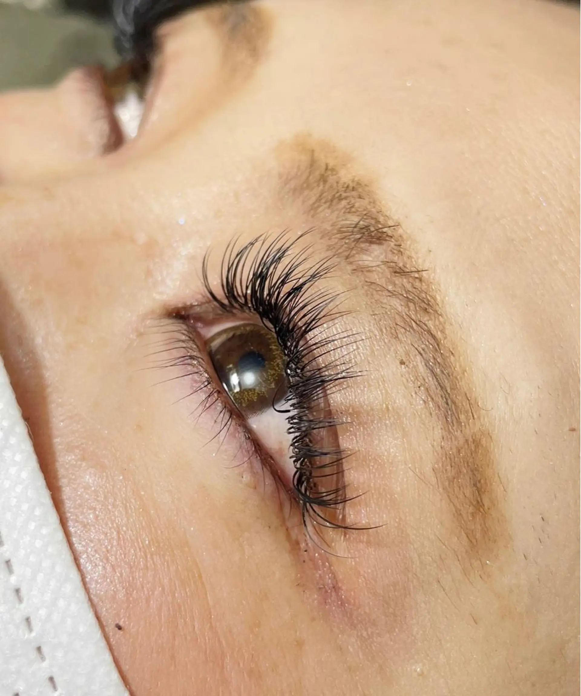 マツエク・マツパ 付け放題 フラットラッシュ Lotus eyelashのマツエク・マツパデザイン