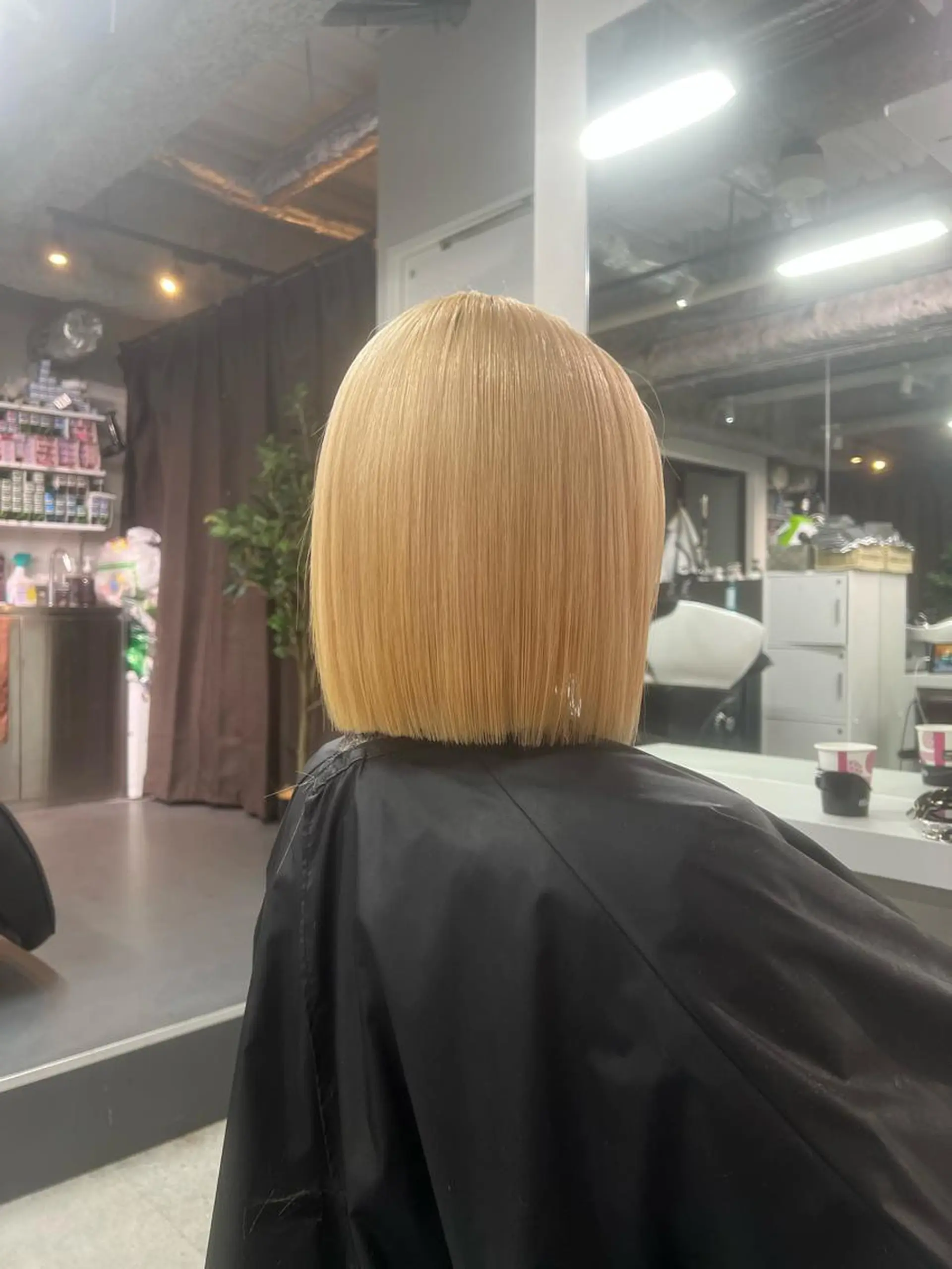 ショート カラー ヘアカラー トリートメント ハイトーン&髪質改善 ＆韓国エクステ🤎のヘアスタイル