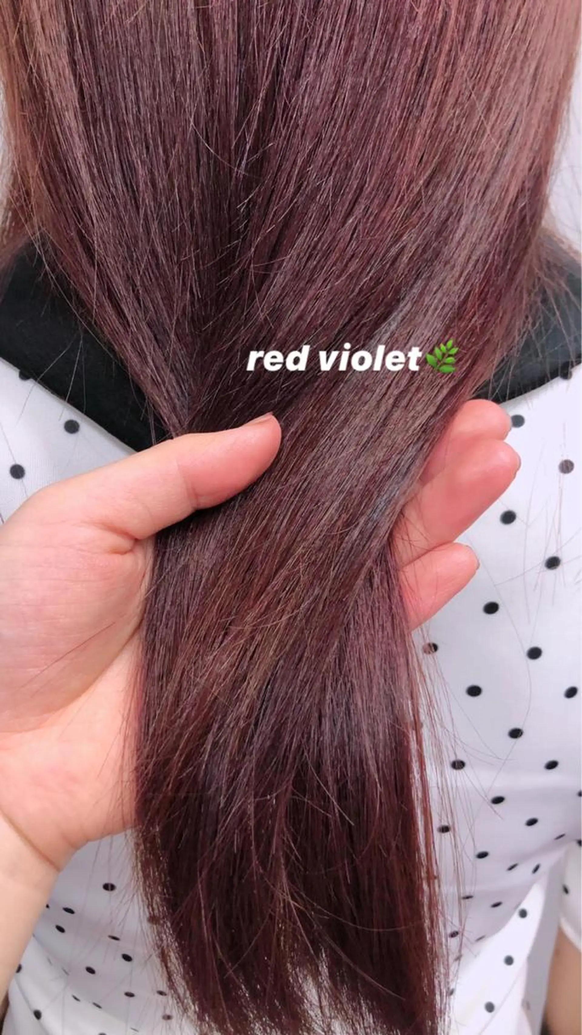 ロング カラー レイヤーカット🎀 kanaのヘアスタイル