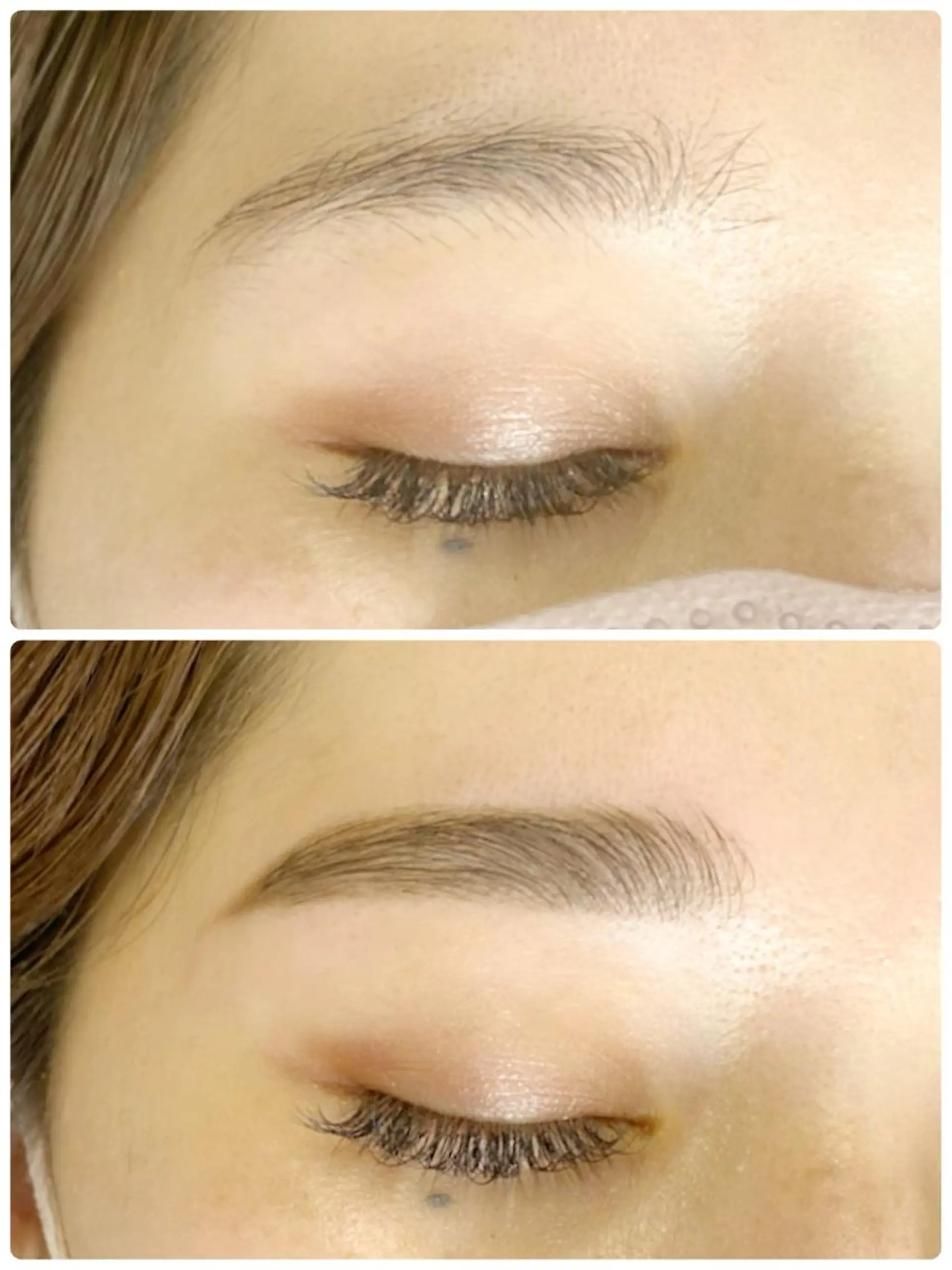 アイブロウ 眉毛ワックス脱毛 白潟 (シラガタ)の眉毛・アイブロウイメージ