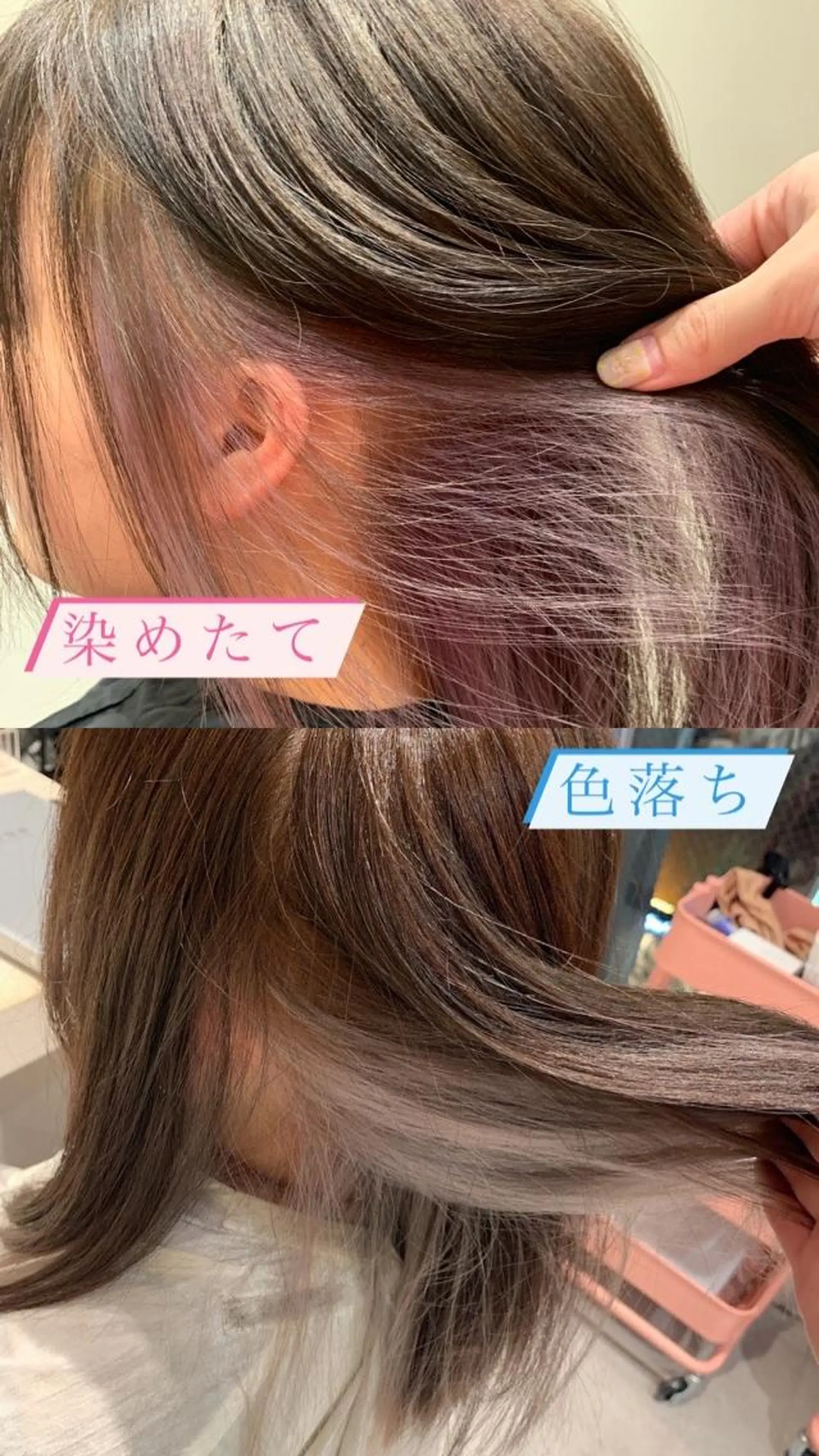 ミディアム カラー グレージュ ピンクカラー シルバー 透明感カラー/レイヤ ーhinata.のヘアスタイル