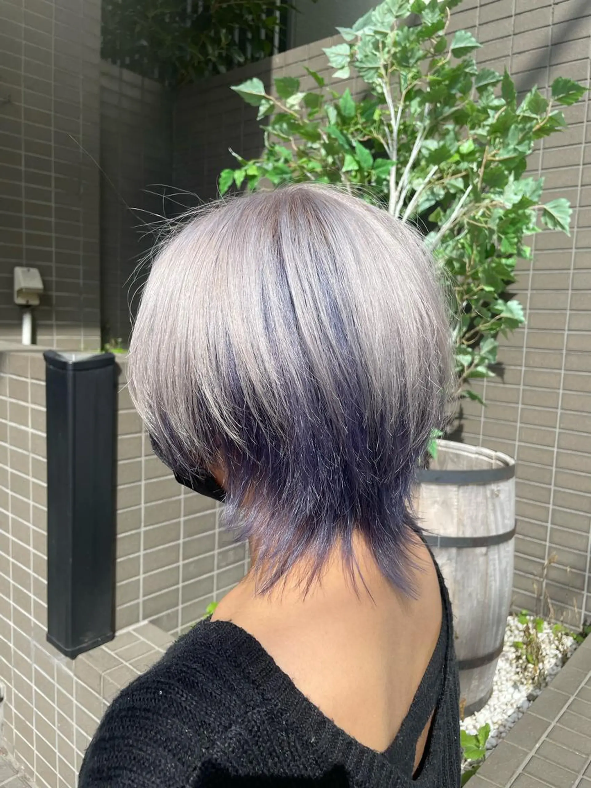 ショート カラー ヘアアレンジ アッシュ ラベンダーカラー ラベンダーアッシュ ウルフカット 🧶ブリーチカラー TERU🧶の眉毛・アイブロウイメージ