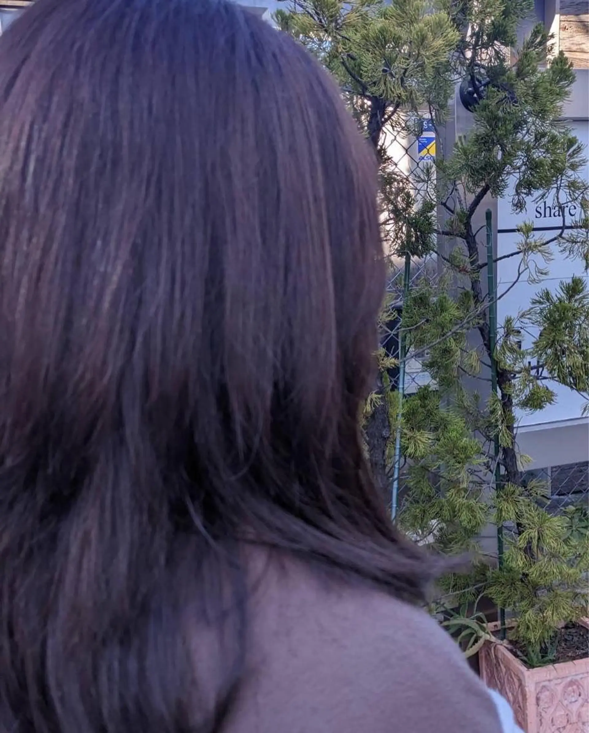 セミロング カット ヘアカラー トリートメント 寺田 ゆりのヘアスタイル