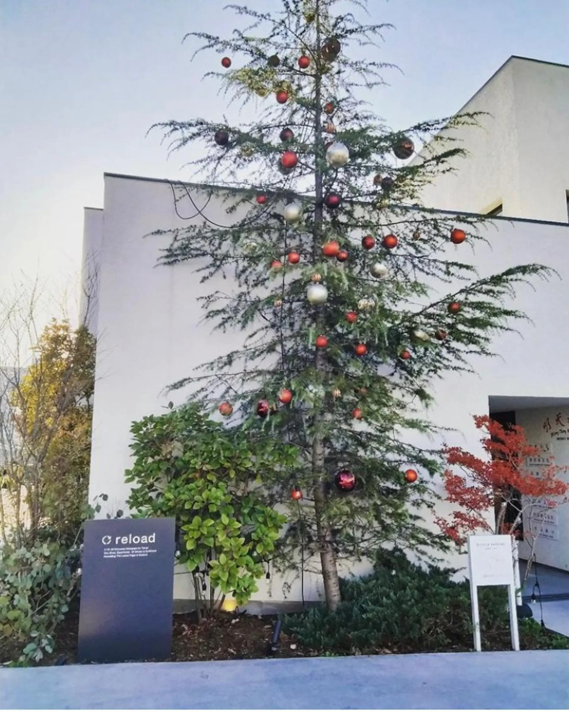 ネイル ネイルサロン アリュームのネイルデザイン