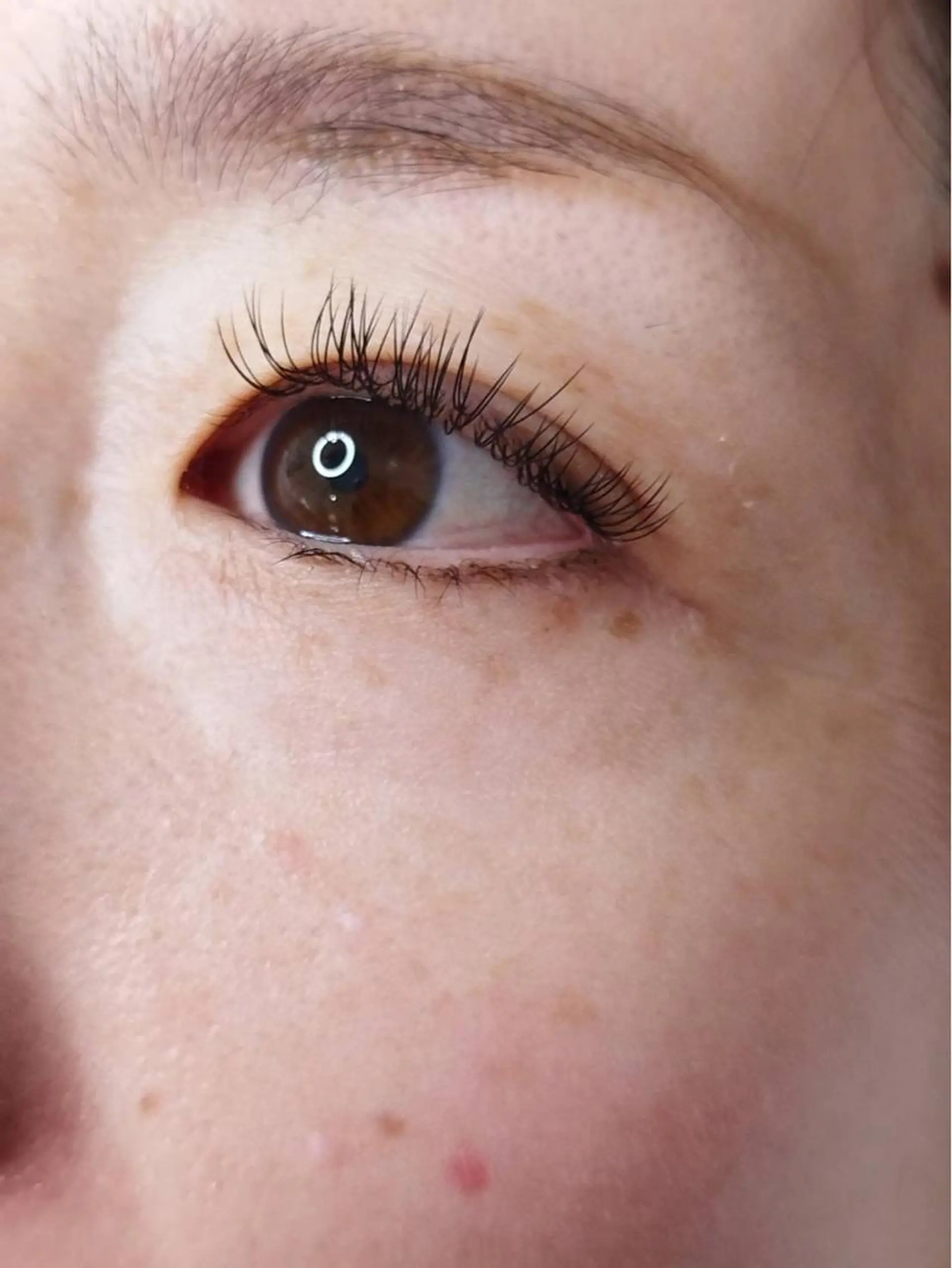 マツエク・マツパ フラットラッシュ y"salon Lilyのマツエク・マツパデザイン