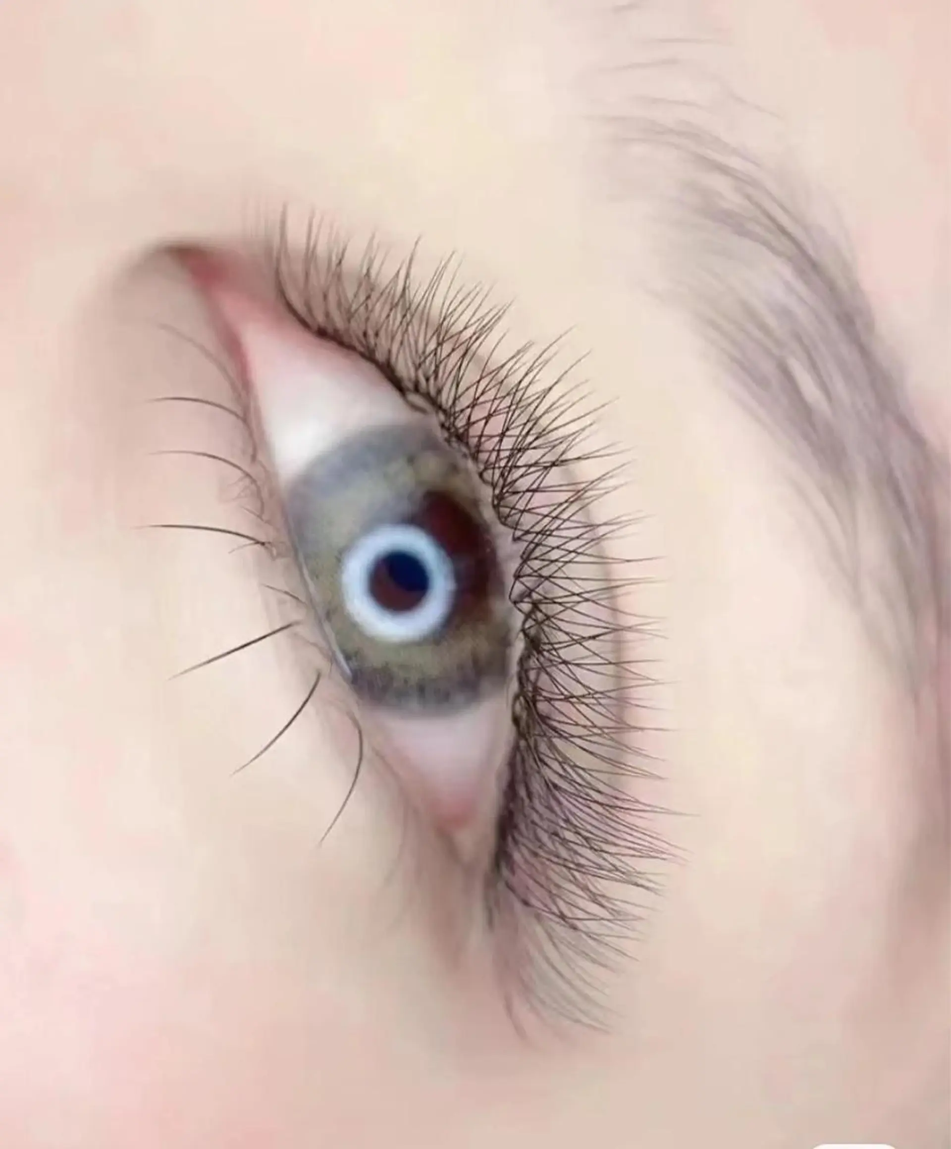 マツエク・マツパ ボリュームラッシュ マツエク Aranasalon 池袋店のマツエク・マツパデザイン