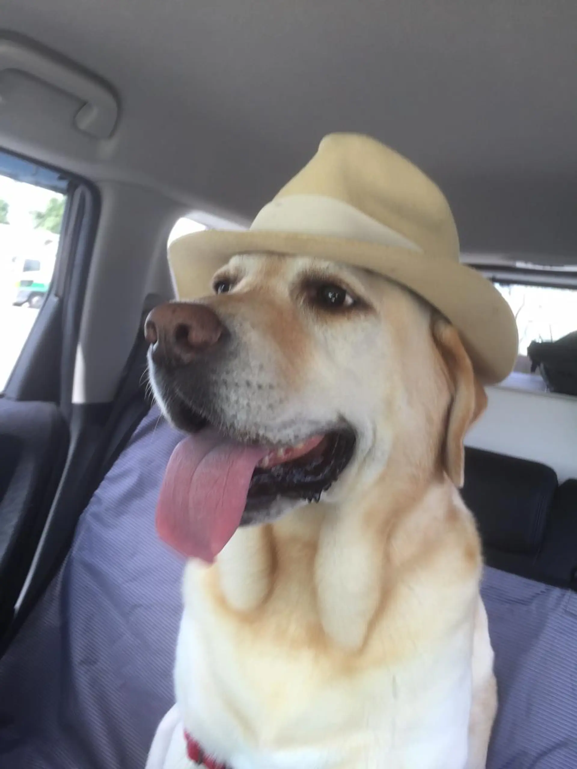 ヘアアレンジ 頭浸浴×似合わせ HolyGrailのヘアスタイル