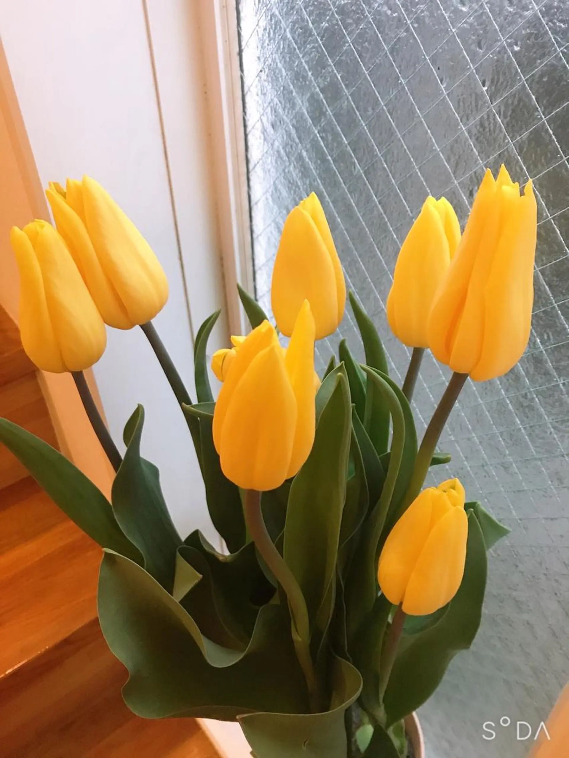 ˚✧₊⁎⁎⁺˳✧༚ AUエーユーのエステ・リラクイメージ