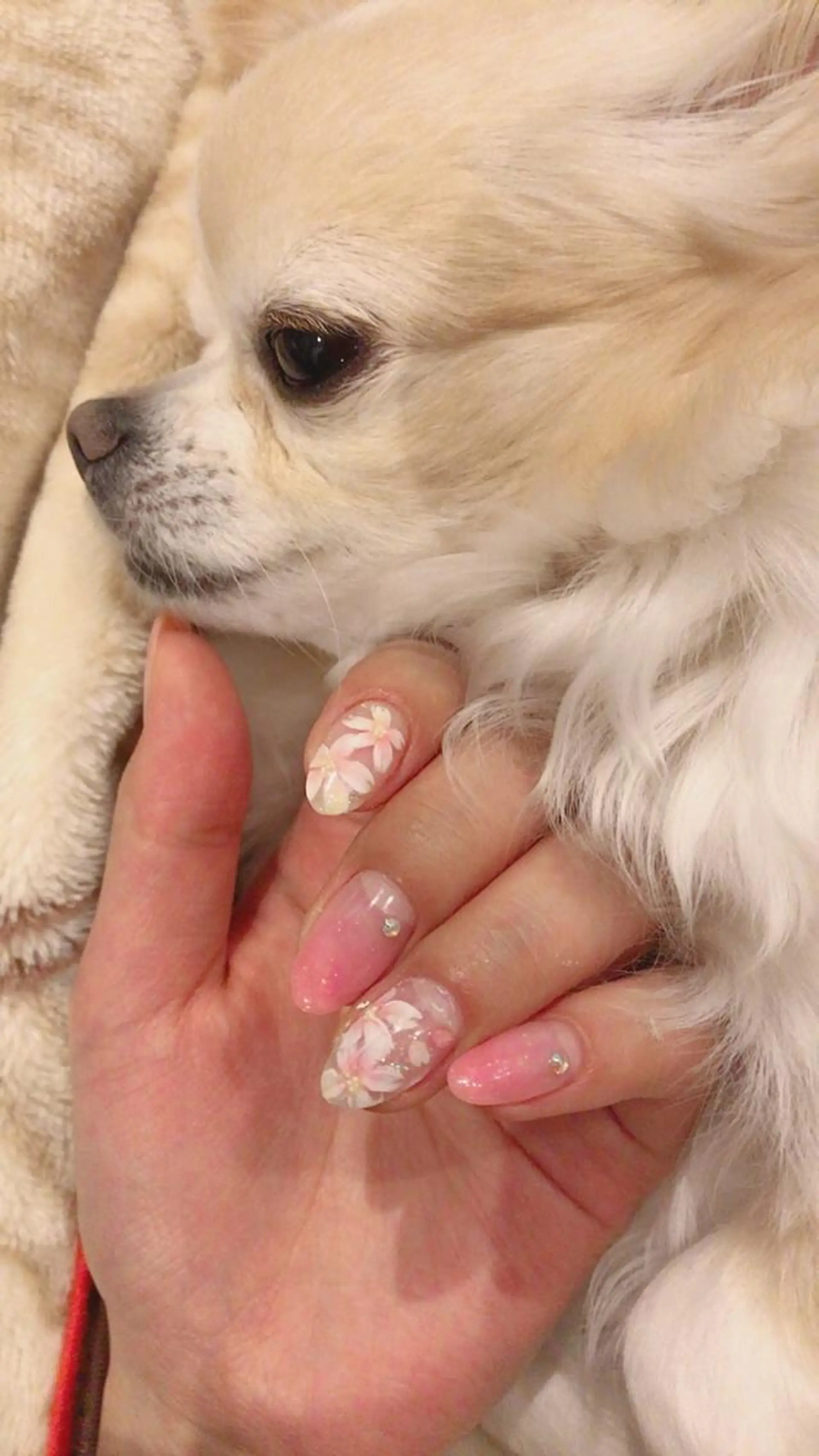 ネイル . yuimiのネイルデザイン