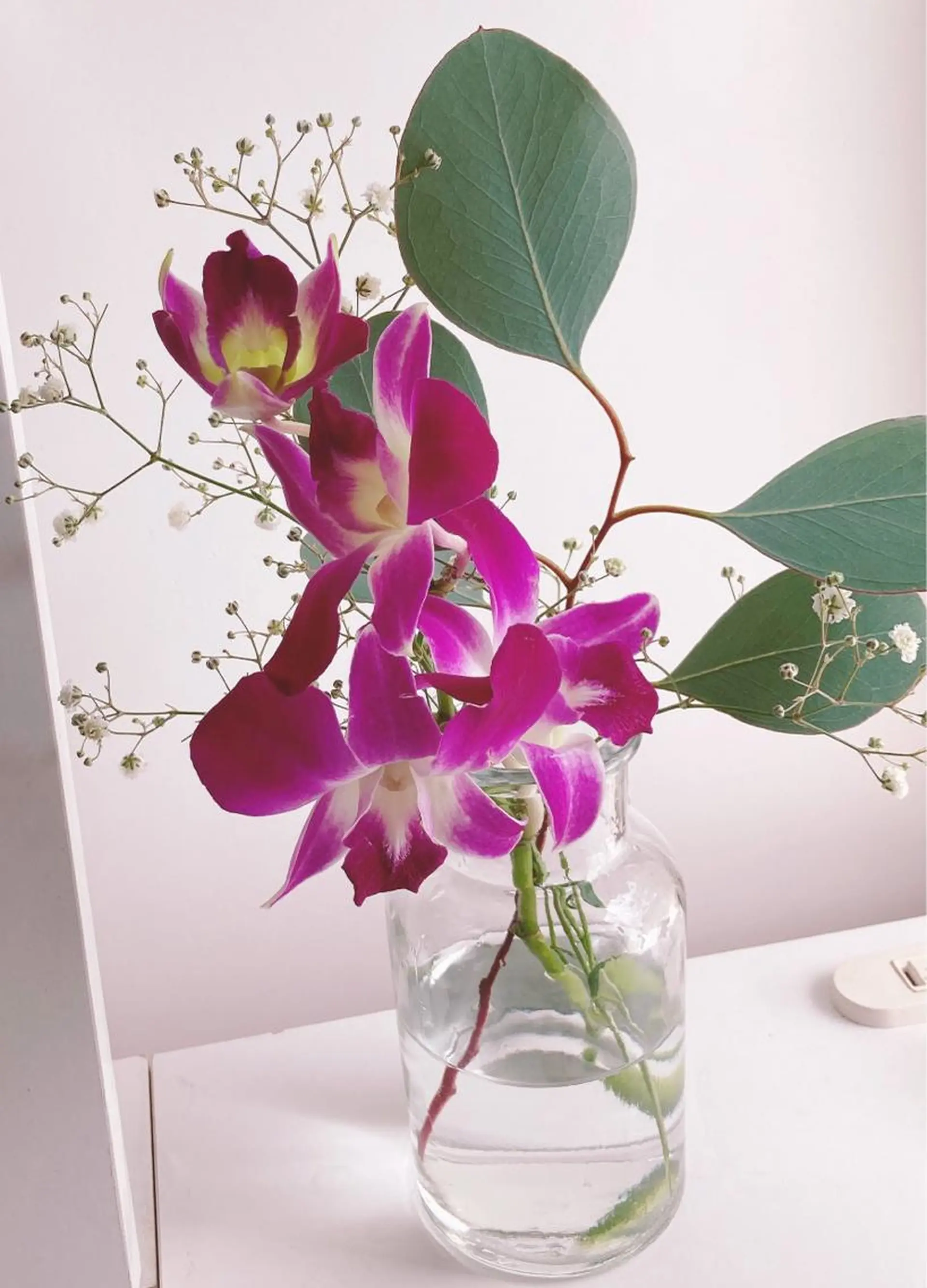 ダイエット動画モデル 枠朝活特化kanaeのエステ・リラクイメージ