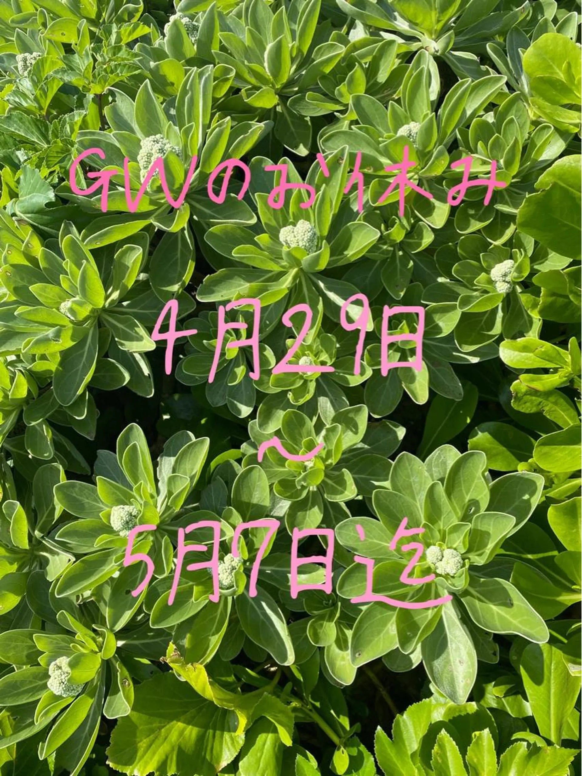 ネイル LUNE NAILのその他イメージ