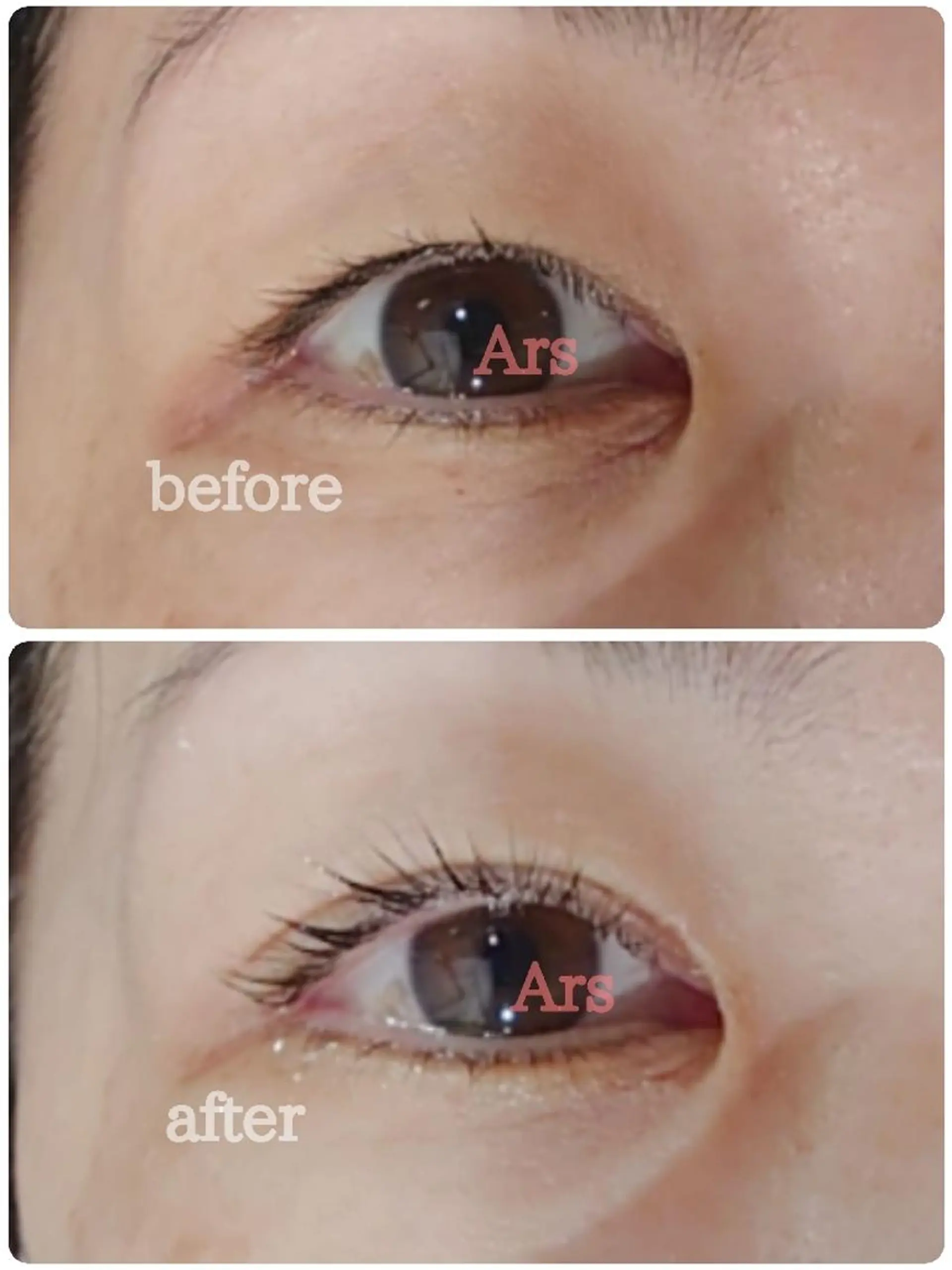 マツエク・マツパ アイリッドアップパーマ Ars      (ｱﾙｽ)のマツエク・マツパデザイン