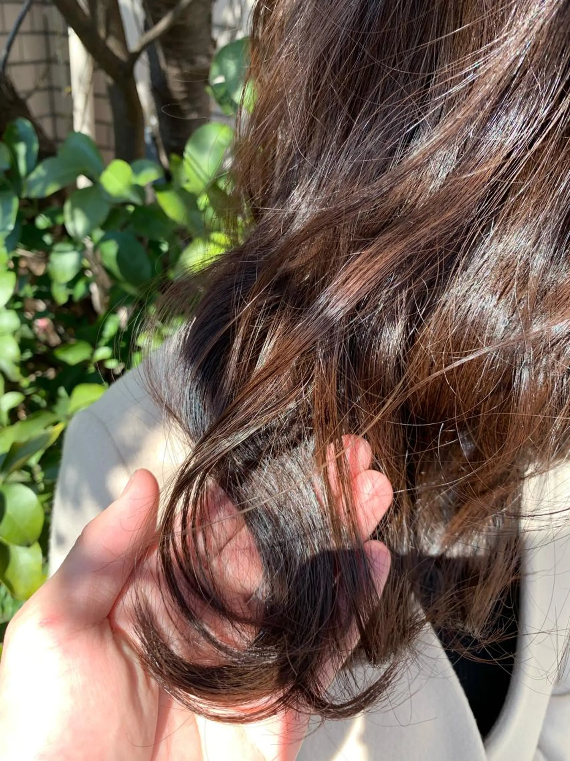 カラー 四ッ井 翔のヘアスタイル