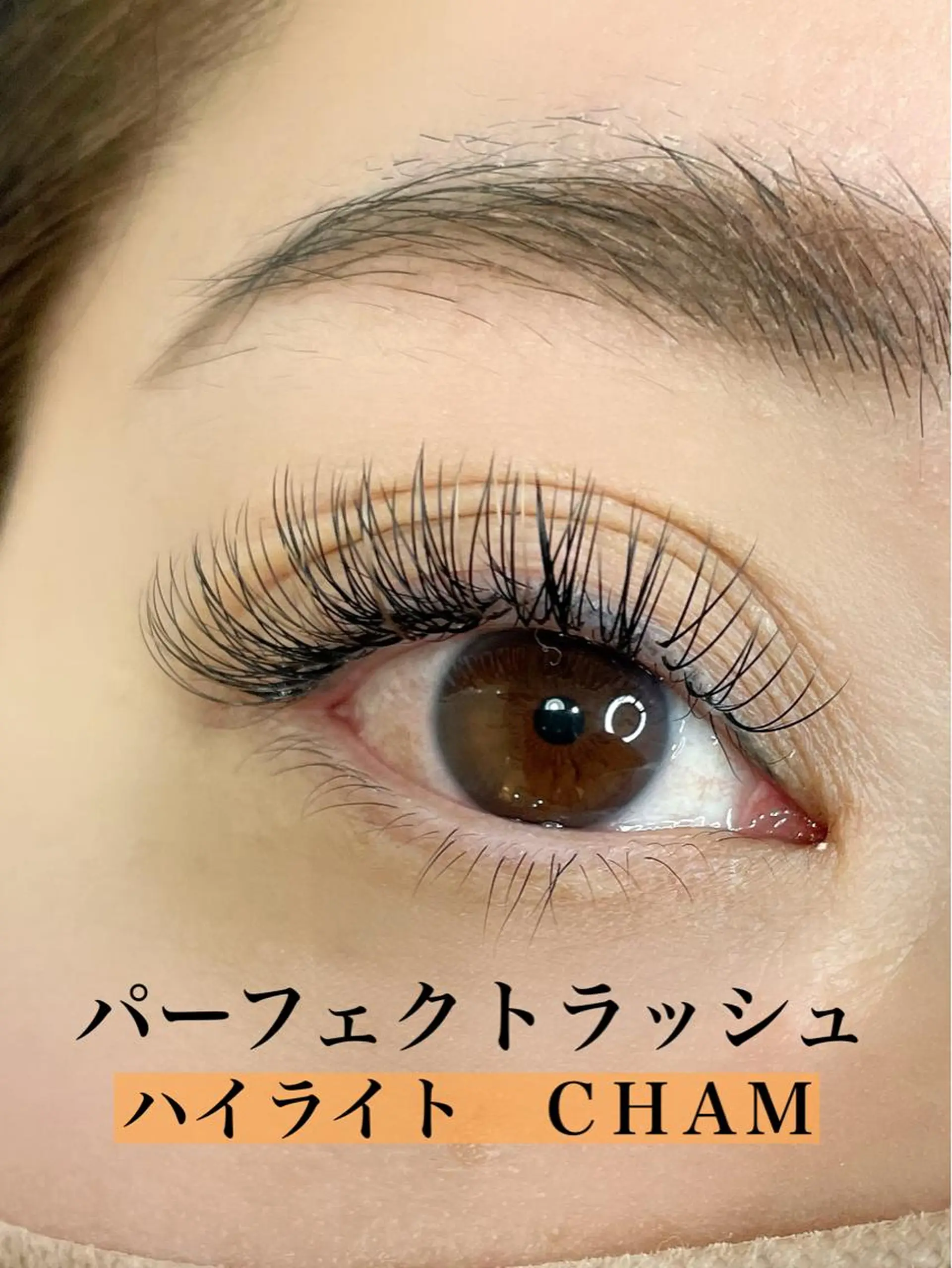 マツエク・マツパ 無料モデル募集中 Ann Mossのマツエク・マツパデザイン