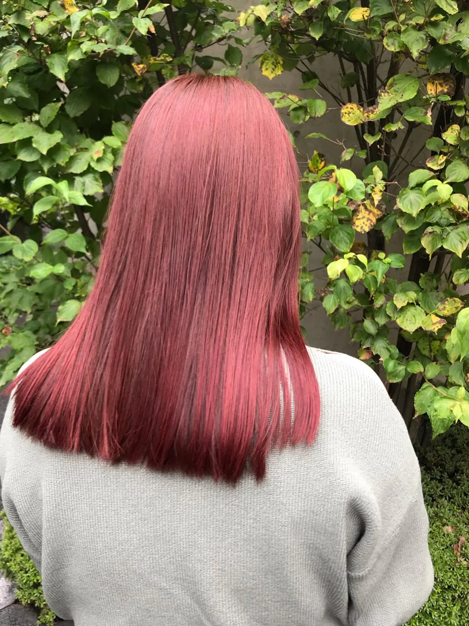 ミディアム 🧸ミルクティー🧸 kousei🧸のヘアスタイル