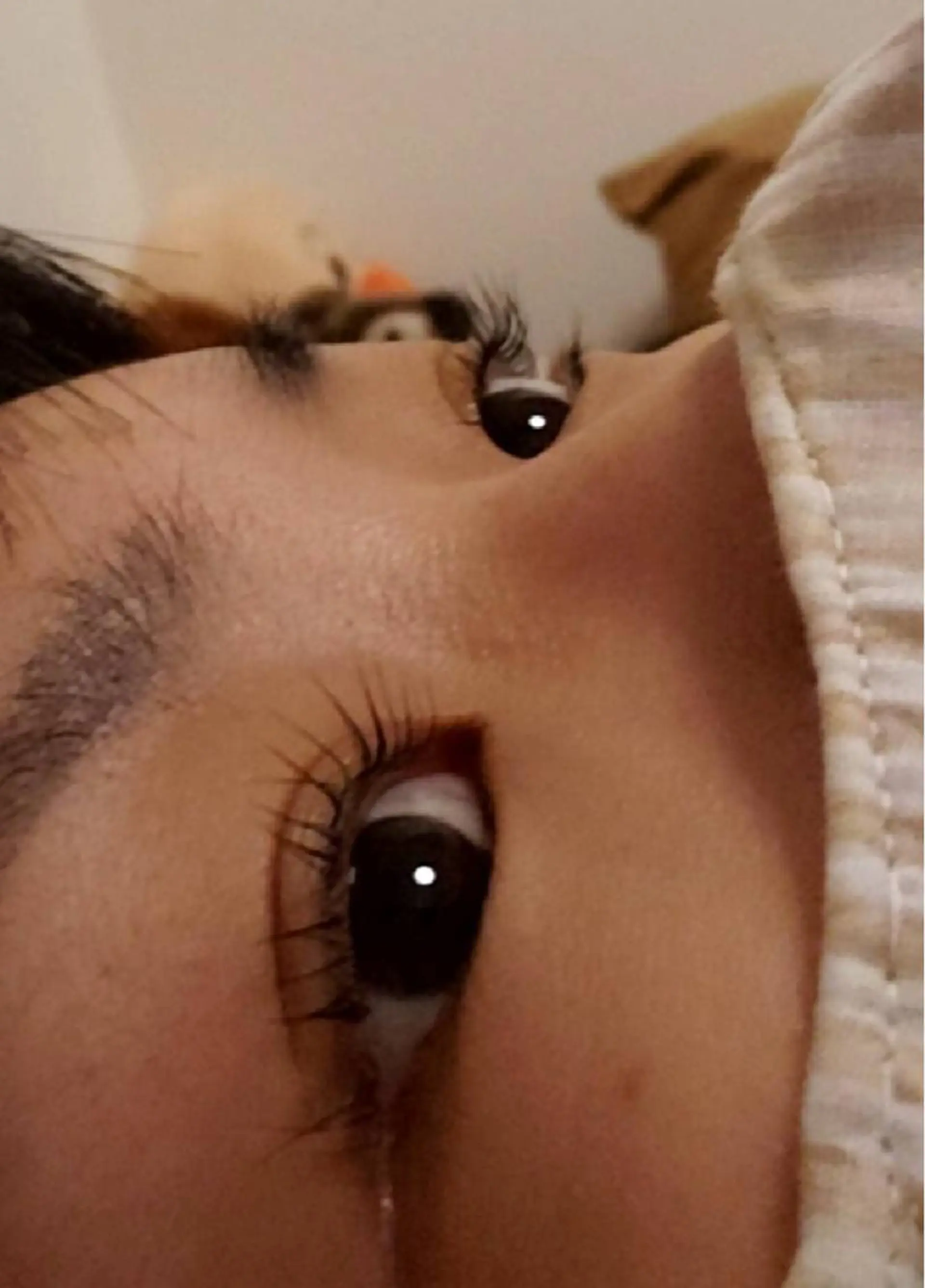 マツエク・マツパ マツパ uniii所属・uniii相模大野 Yoshizawaのマツエク・マツパデザイン