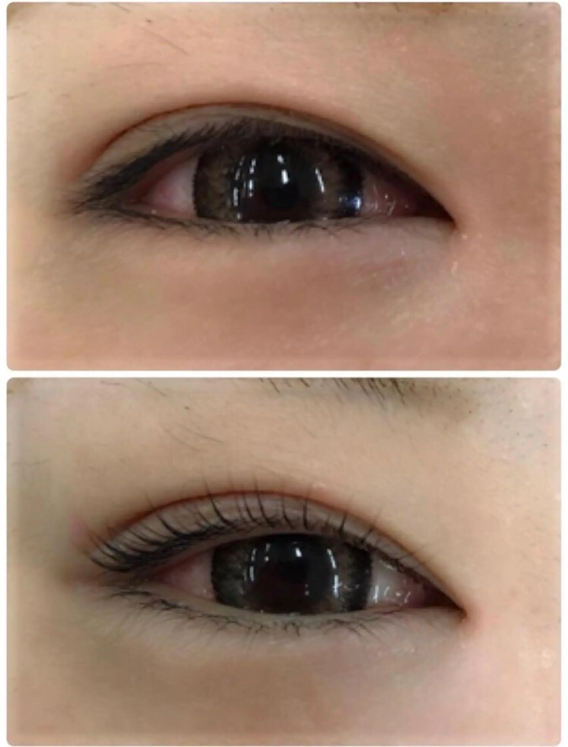 マツエク・マツパ マックスケリー所属・かわ ごえのマツエク・マツパデザイン