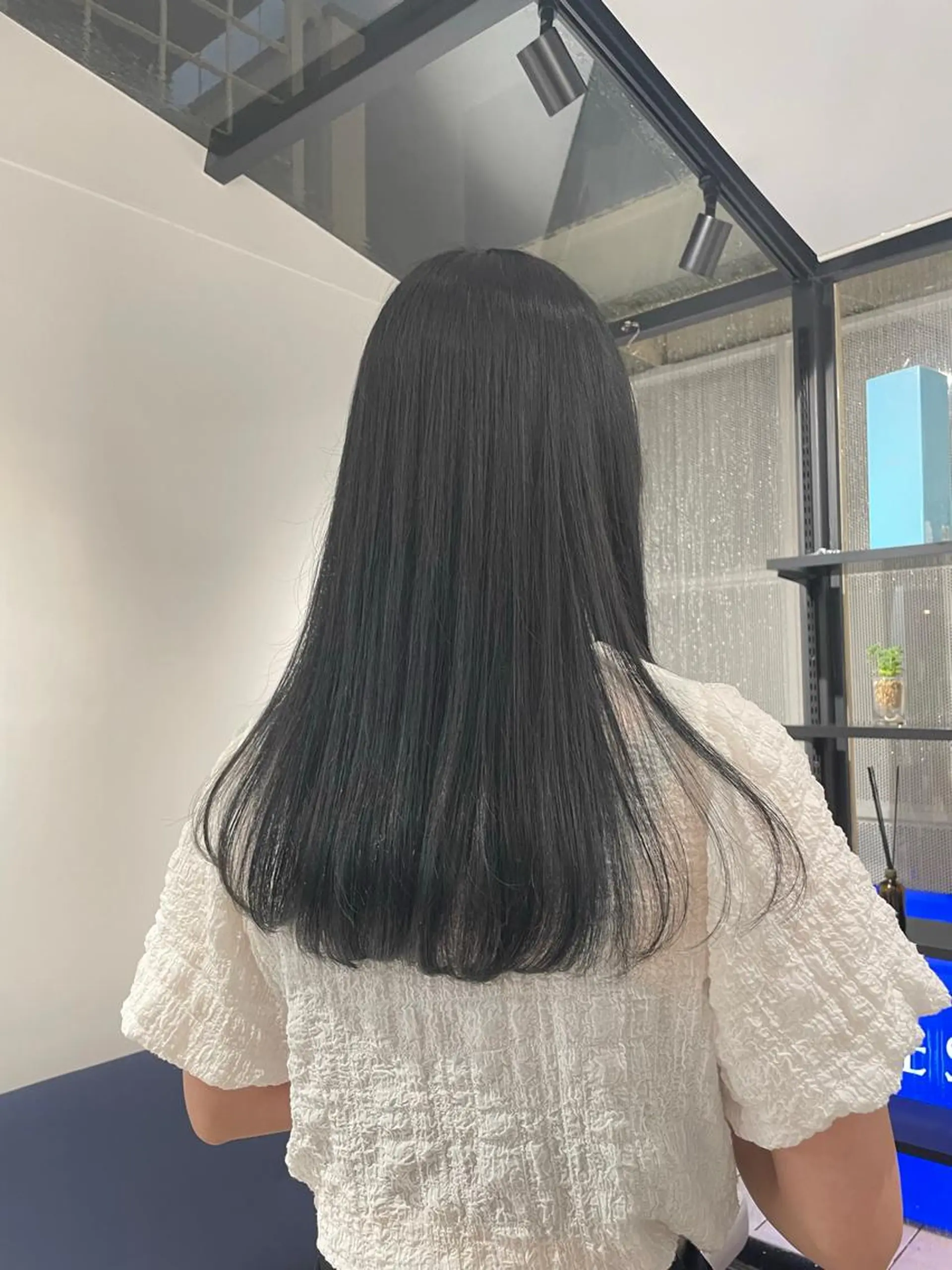 ロング カラー 黒髪 ブルーカラー ブルーブラック 透明感カラー 渋谷🎀透明感カラー レイヤー/mikuのヘアスタイル