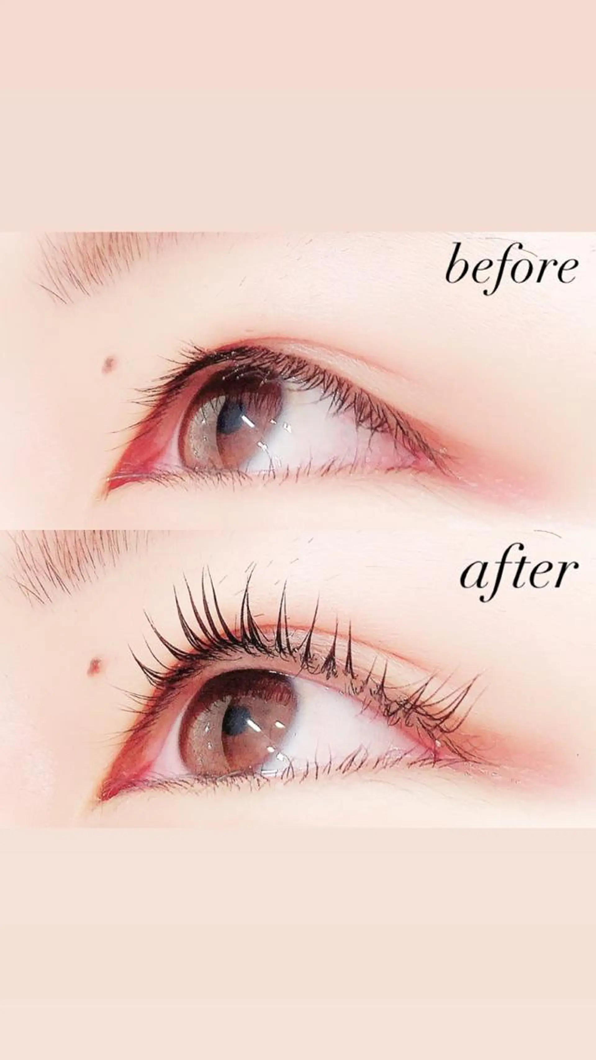 マツエク・マツパ まつげパーマ 【Lanhr】 🕊aya🕊のマツエク・マツパデザイン