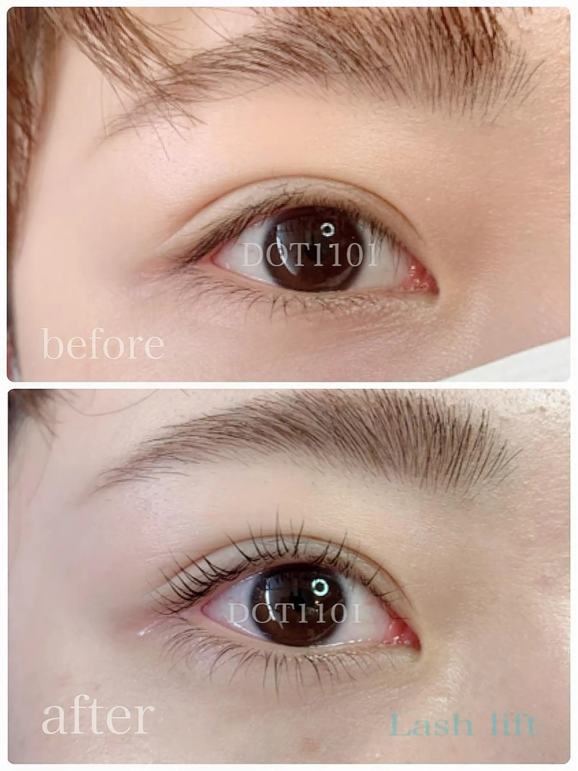 マツエク・マツパ 下まつげエクステ 一重×まつ毛パーマ DOT1101 a.i🌼のマツエク・マツパデザイン